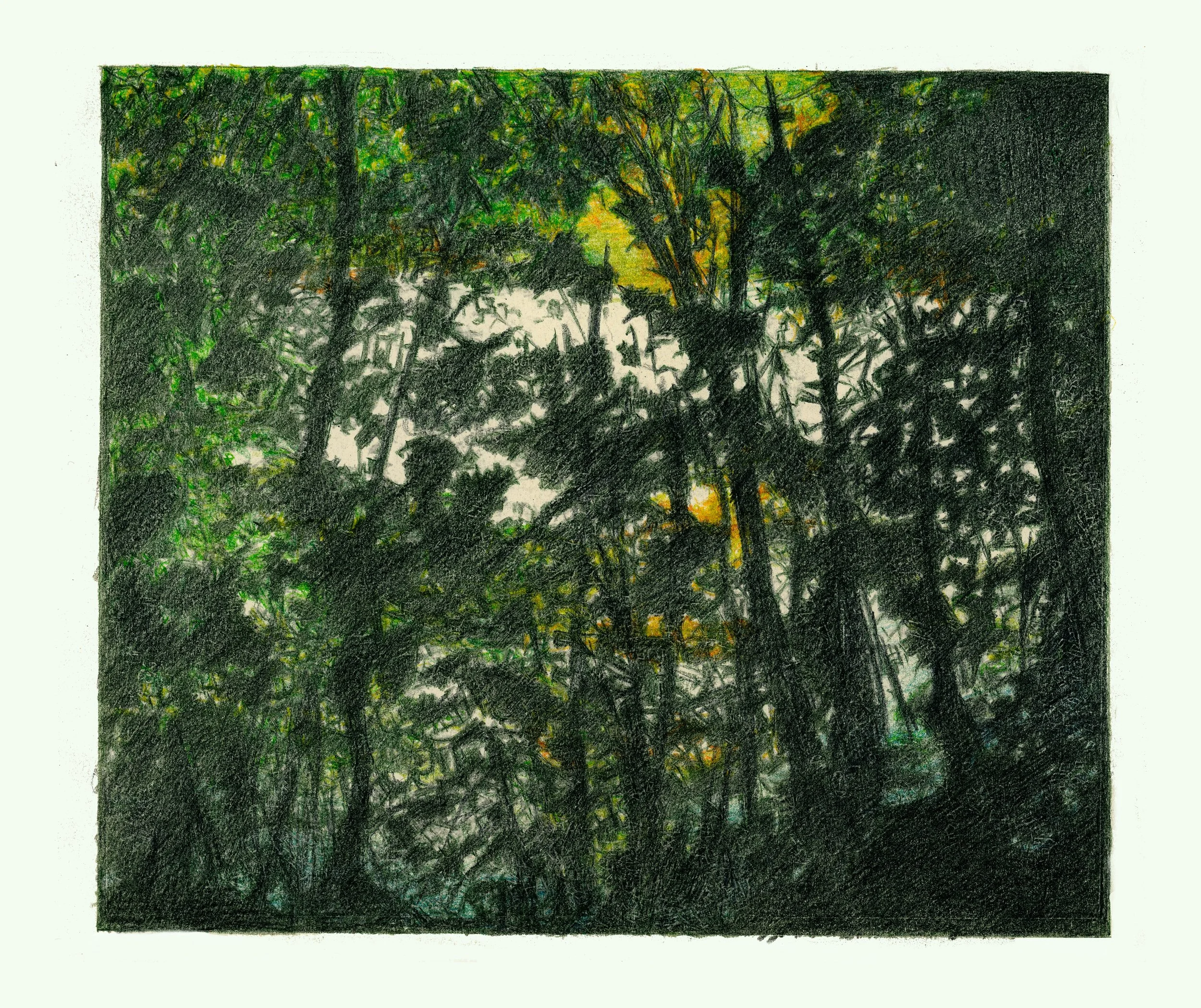 Schorre 18 (watercolour pencil study) 21/30