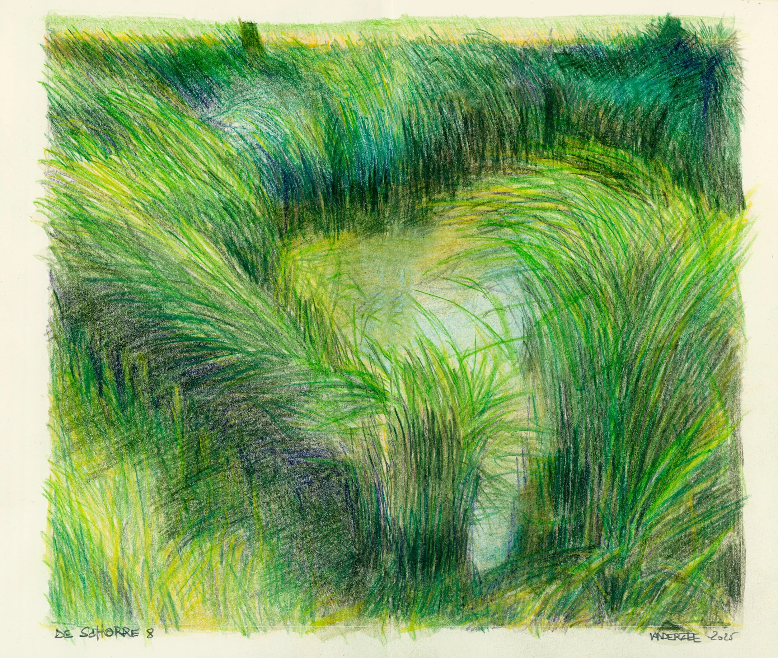Schorre 8  (watercolour pencil study) 26/21