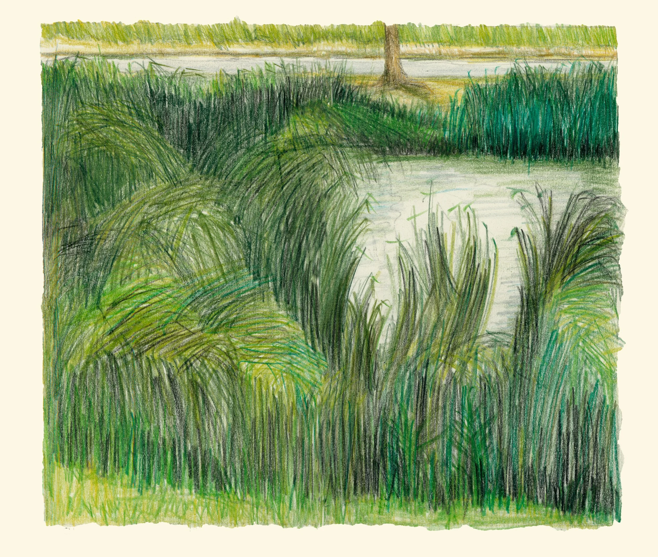 Schorre 9 (watercolour pencil study) 26/21