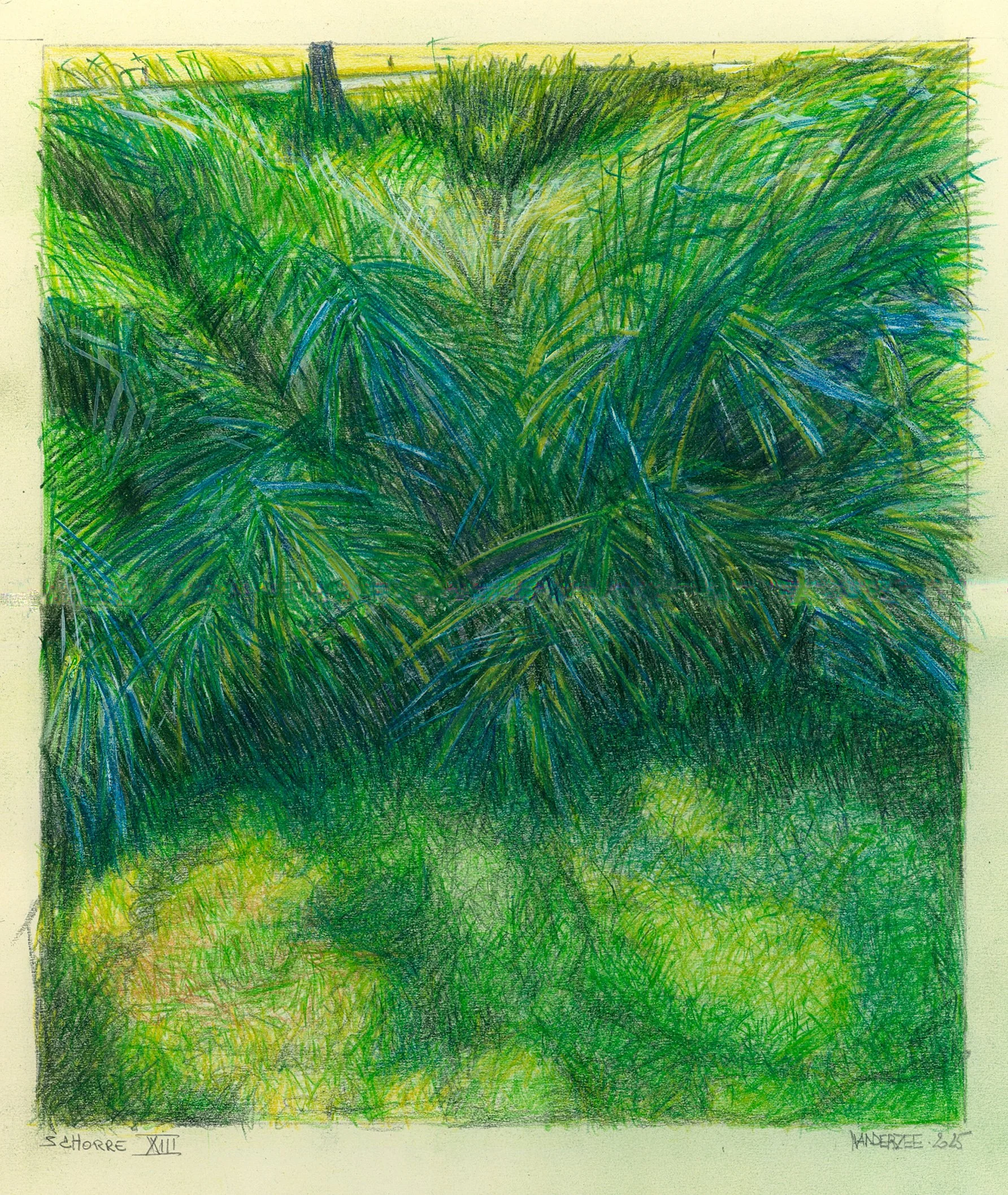 Schorre 13 (watercolour pencil study) 26/21