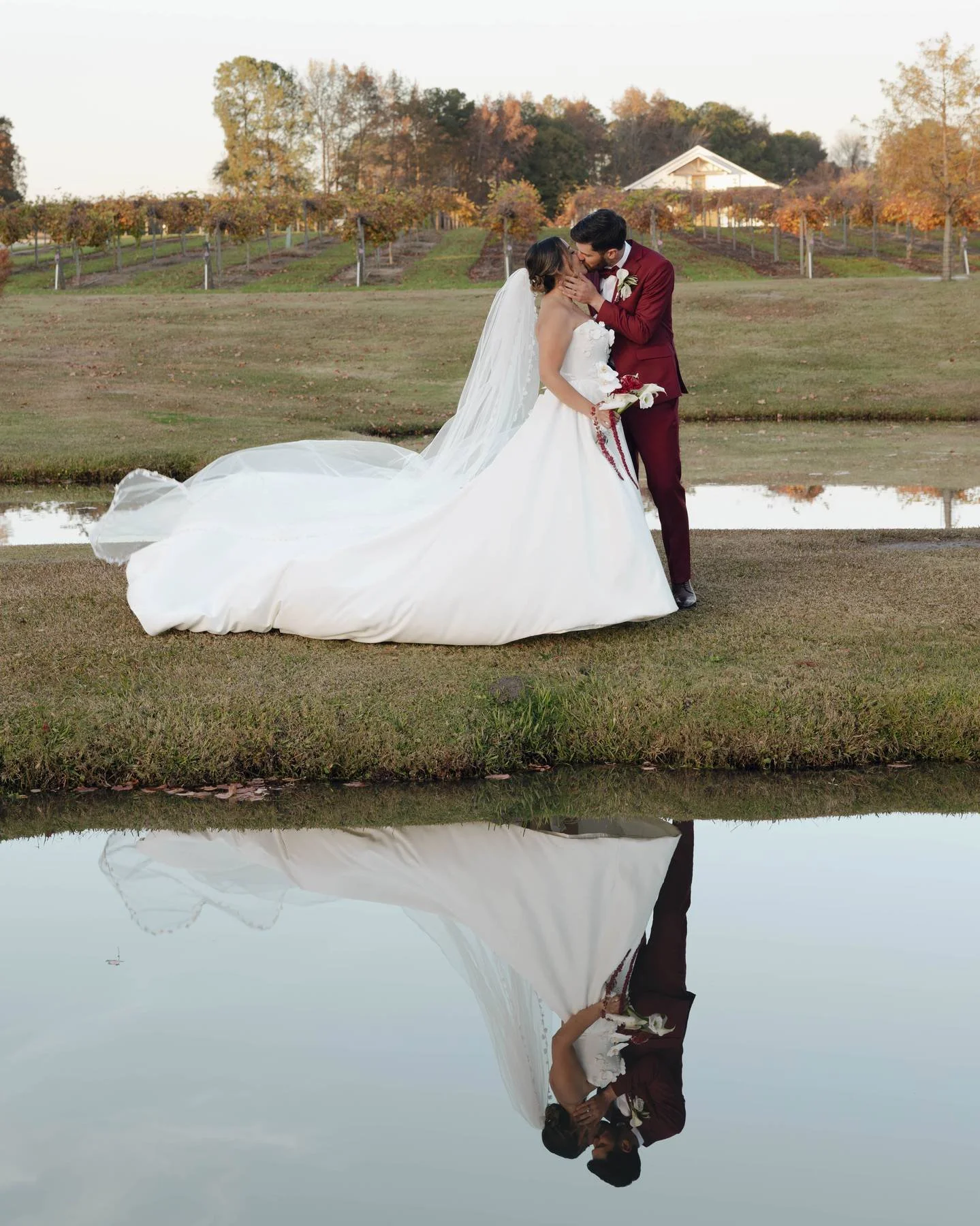 Bride Groom Pond Fall Vineyard Twisted Vines