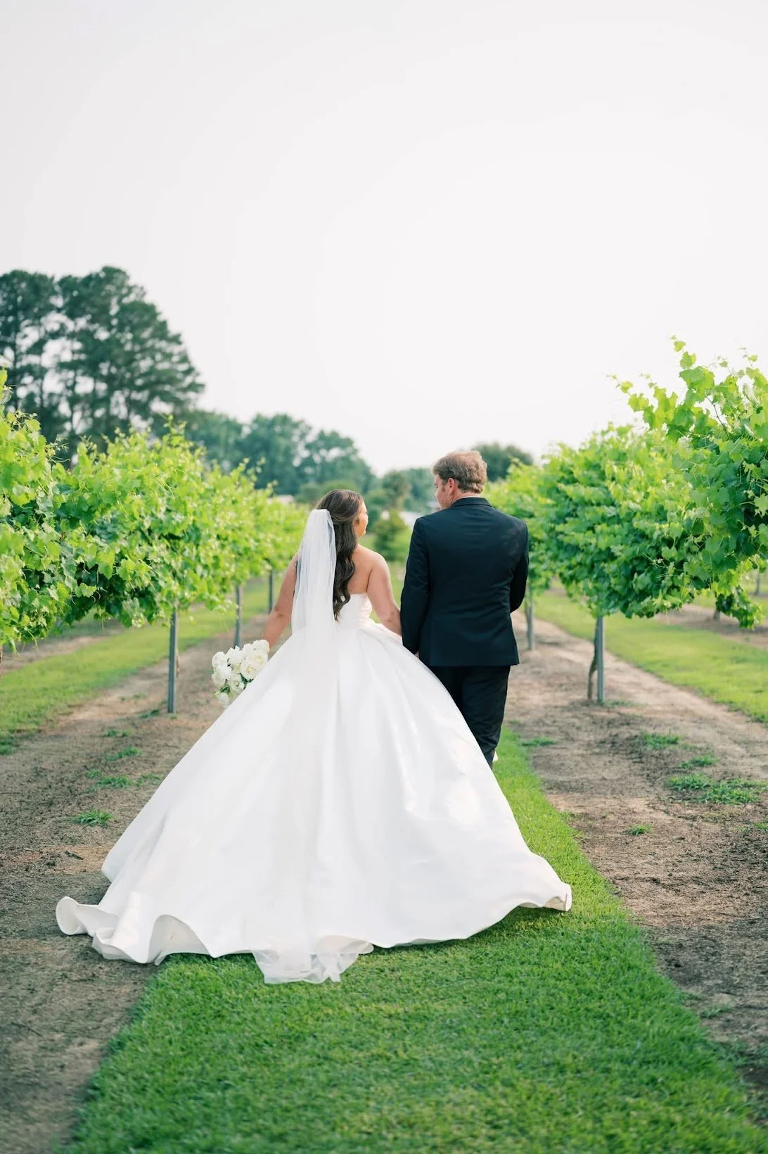 Connor Stephenson Photography: Bride and groom walking down a vineyard holding hands while the white dress if flowing. 