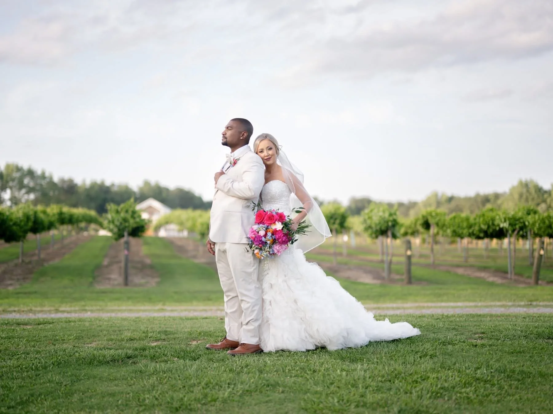 Studio Martini: Stunning Vineyard view 