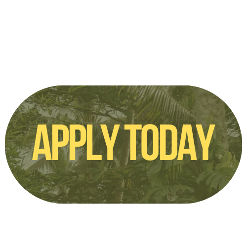 Green background with tropical plants and bold yellow text saying "Apply Today".