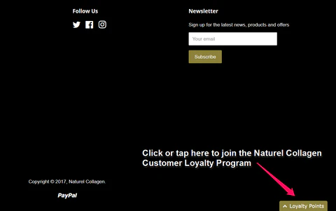 Webpage footer with social media icons, newsletter subscription form, loyalty program link, and copyright notice.
