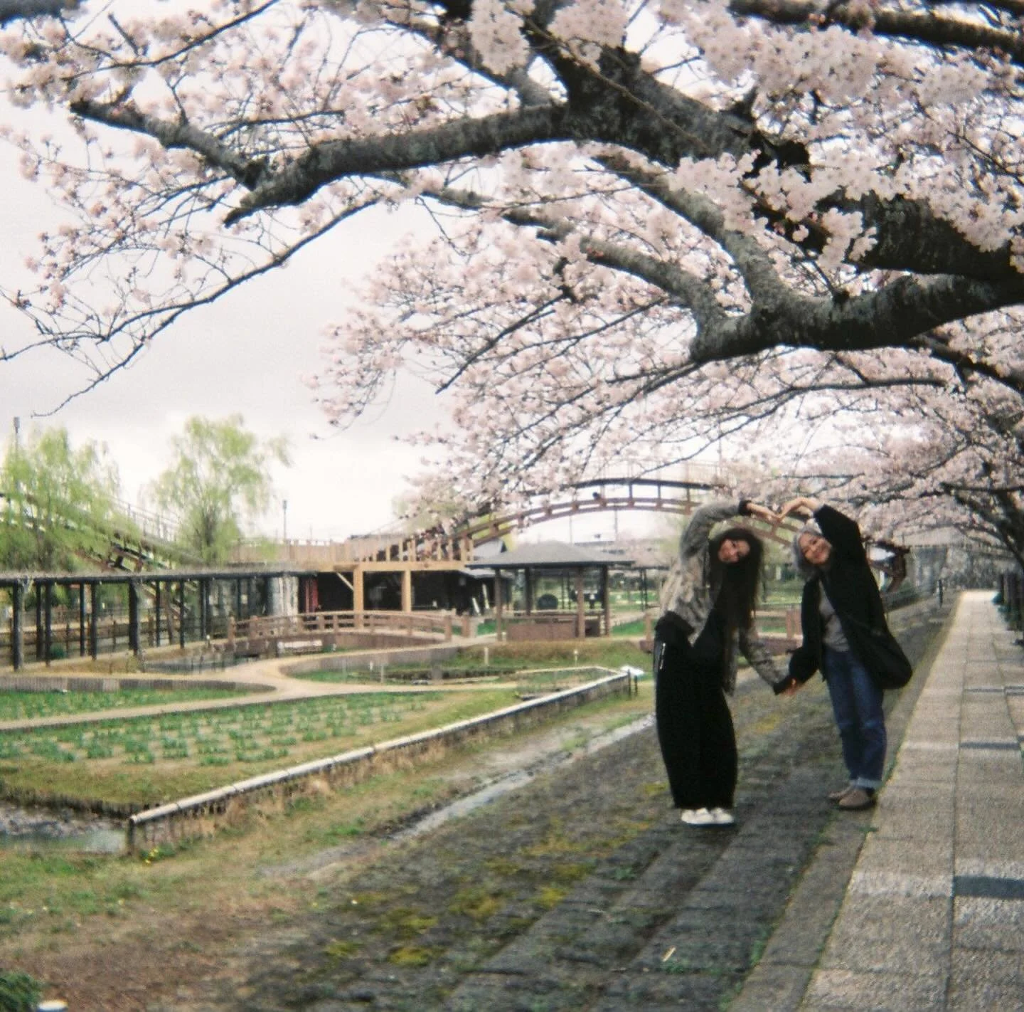 leaving Japan never gets easier when it feels like home 🥲
またすぐ戻ってくるね. 待っててね〜 💫🌸