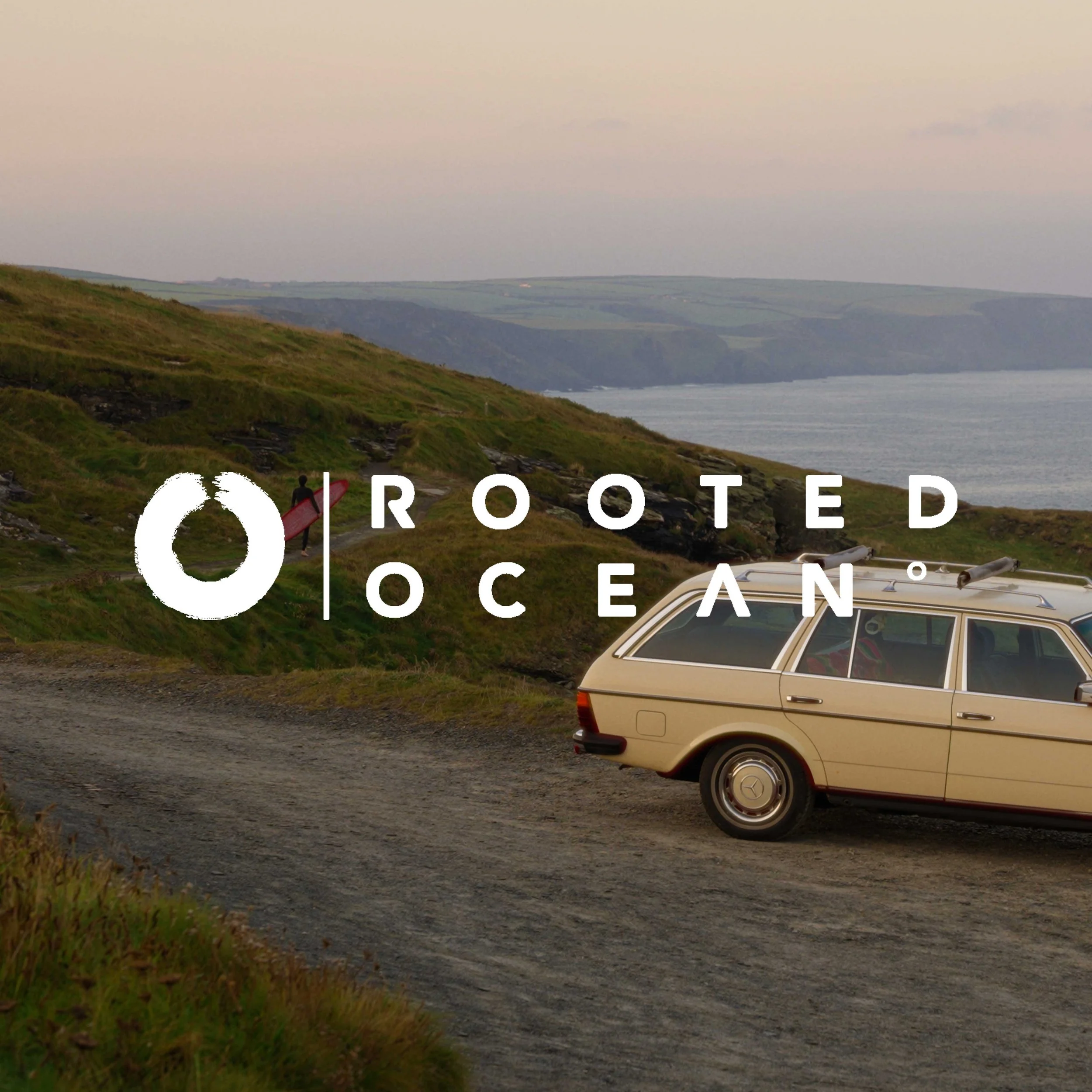 Rooted Ocean, Go Fund Me