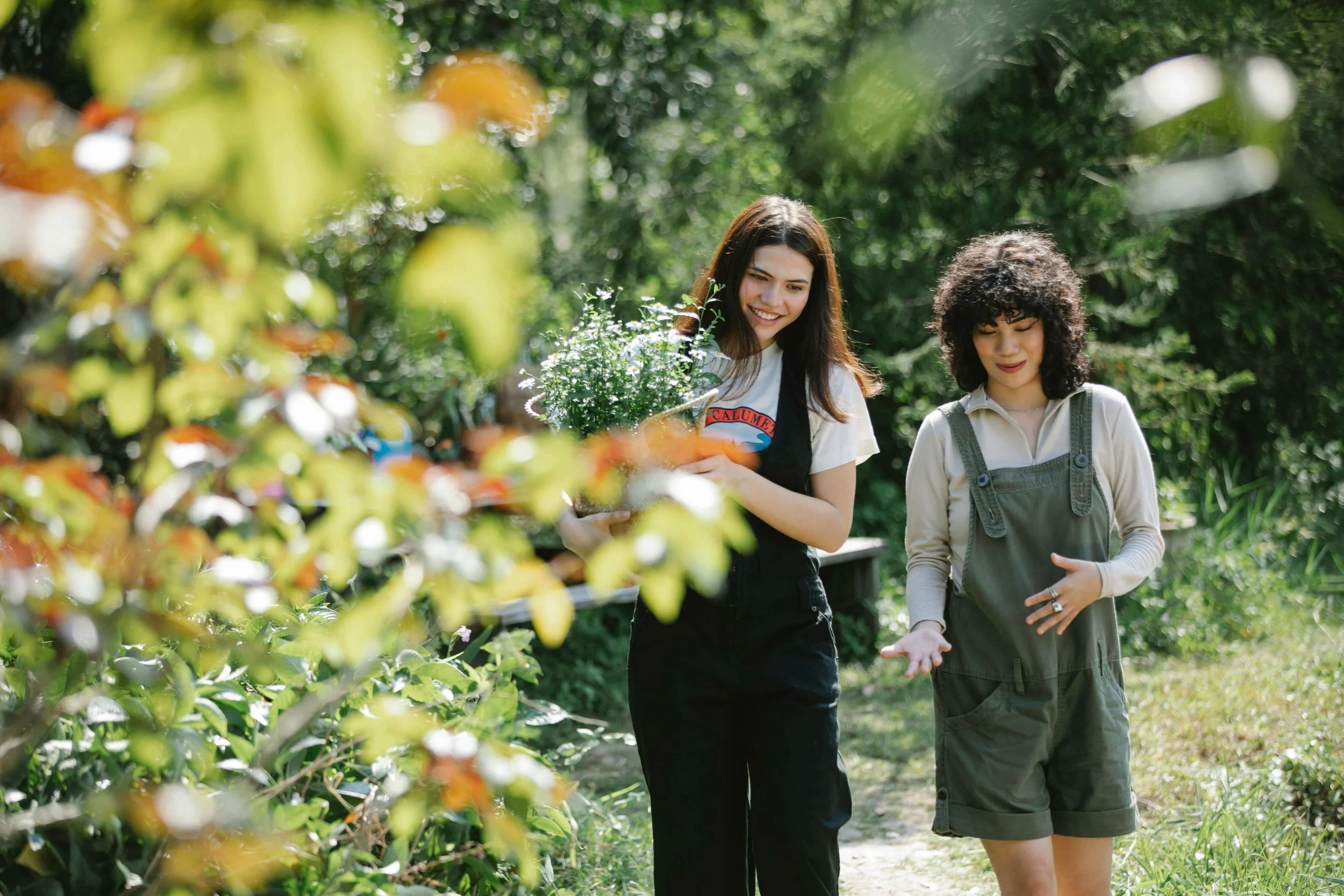 Embracing Nature: How Nature-Based Trauma Therapy Can Nurture Your ...
