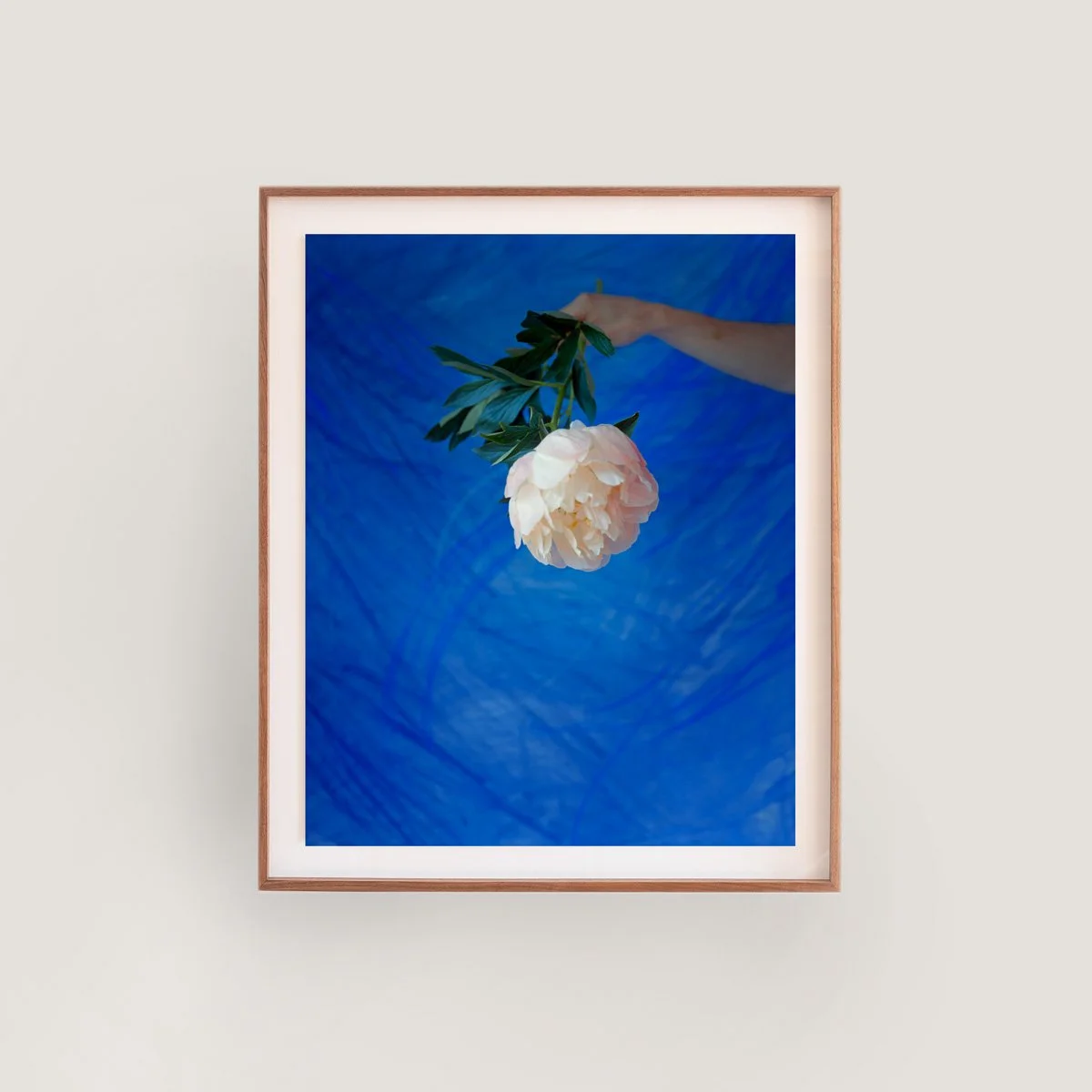 Peony_1.jpg