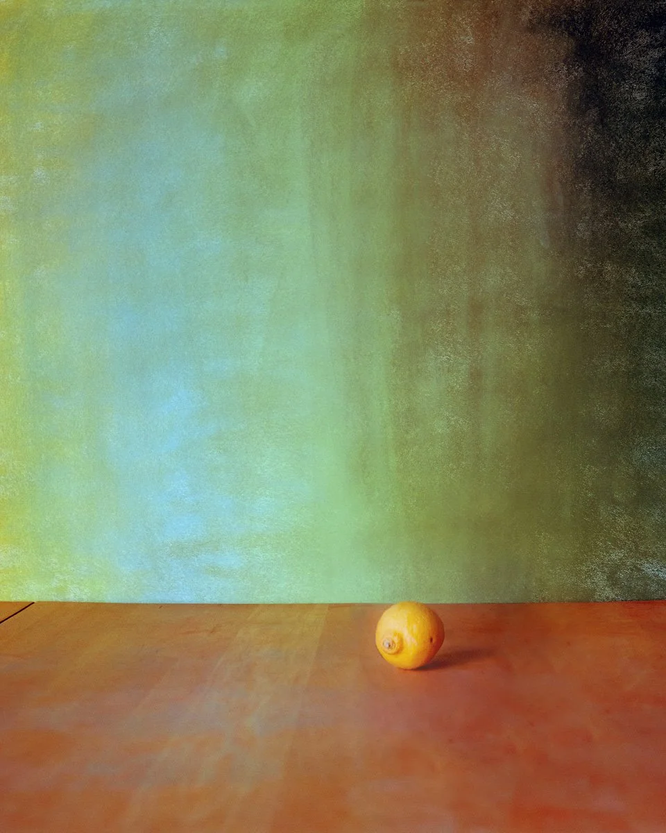 1_8x10_tulip Triptych copy.jpg