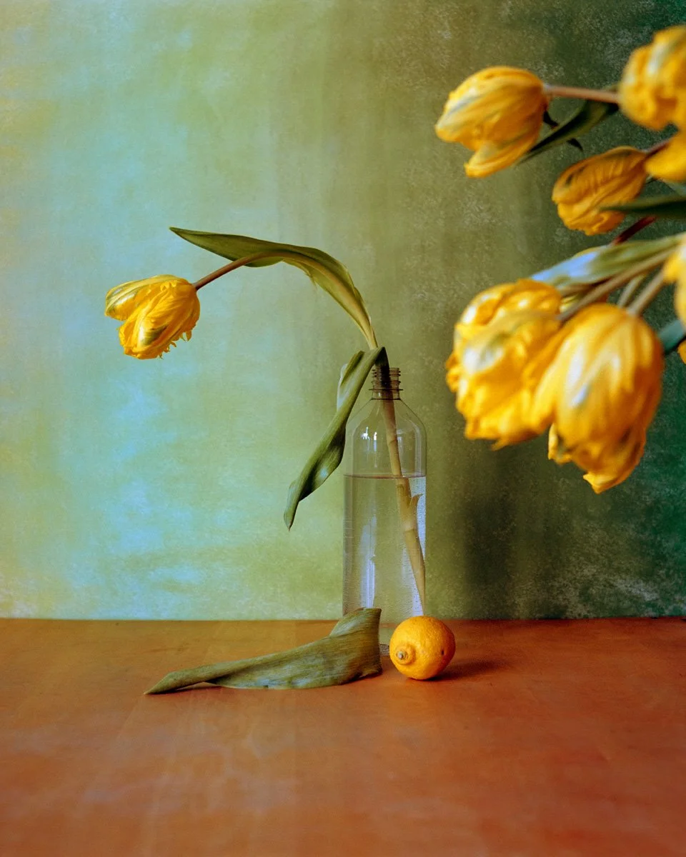 3_8x10_tulip Triptych copy.jpg