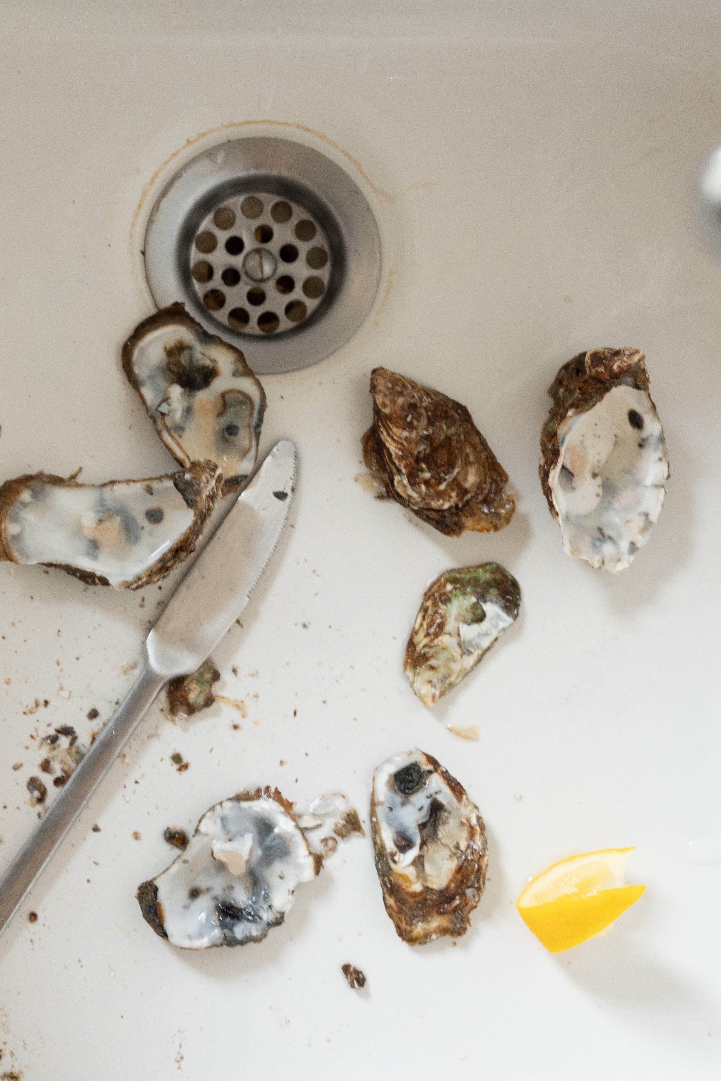 Oyster Prints Triptych_1.jpg