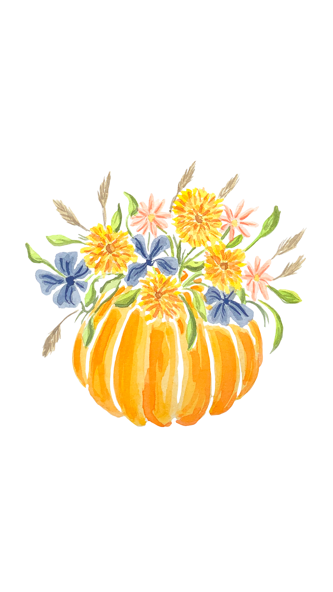 citruille fleuir.png