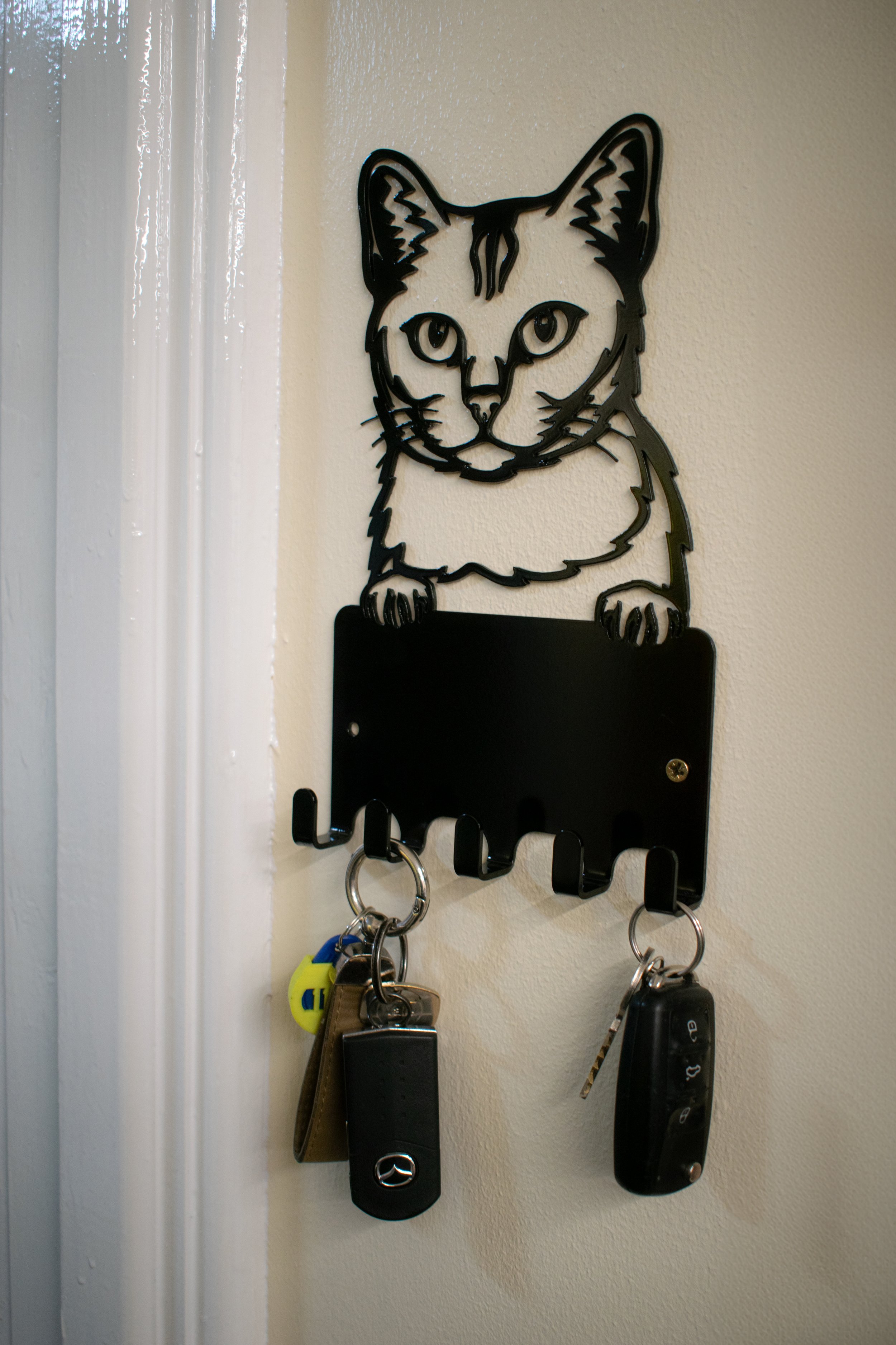 cat.jpg
