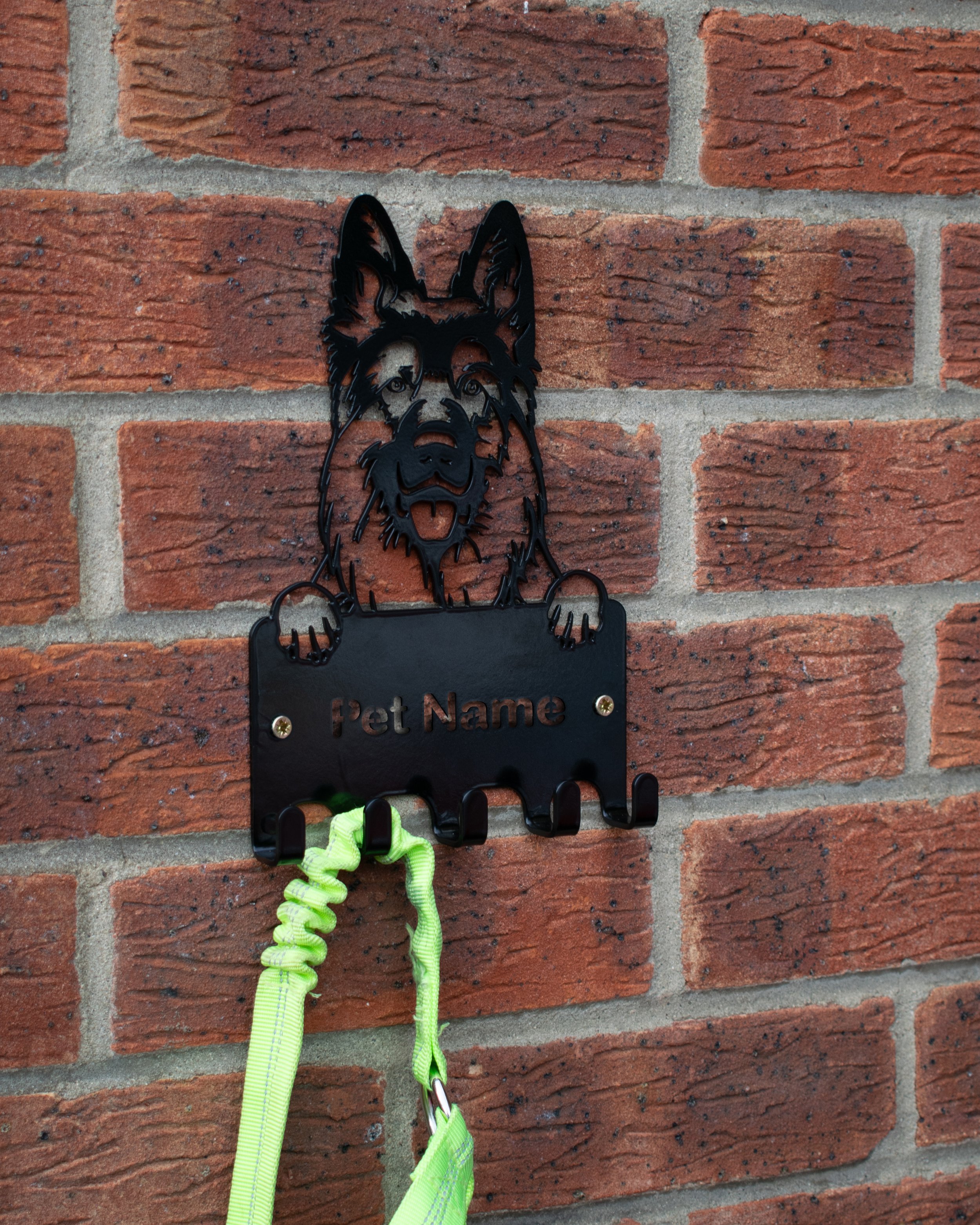 DSC_0041.jpg