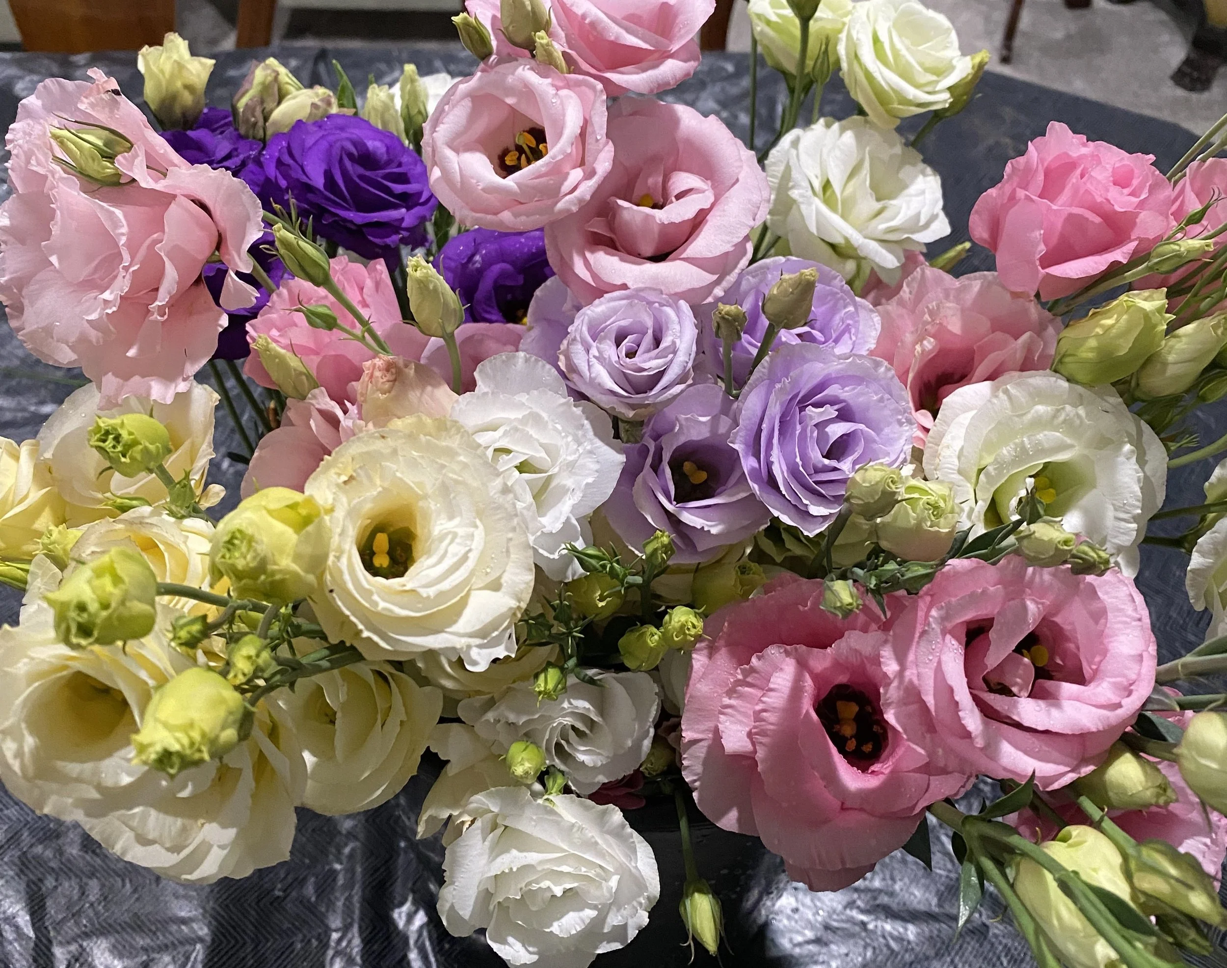lisianthus in bucket be still flower farm (2).jpg