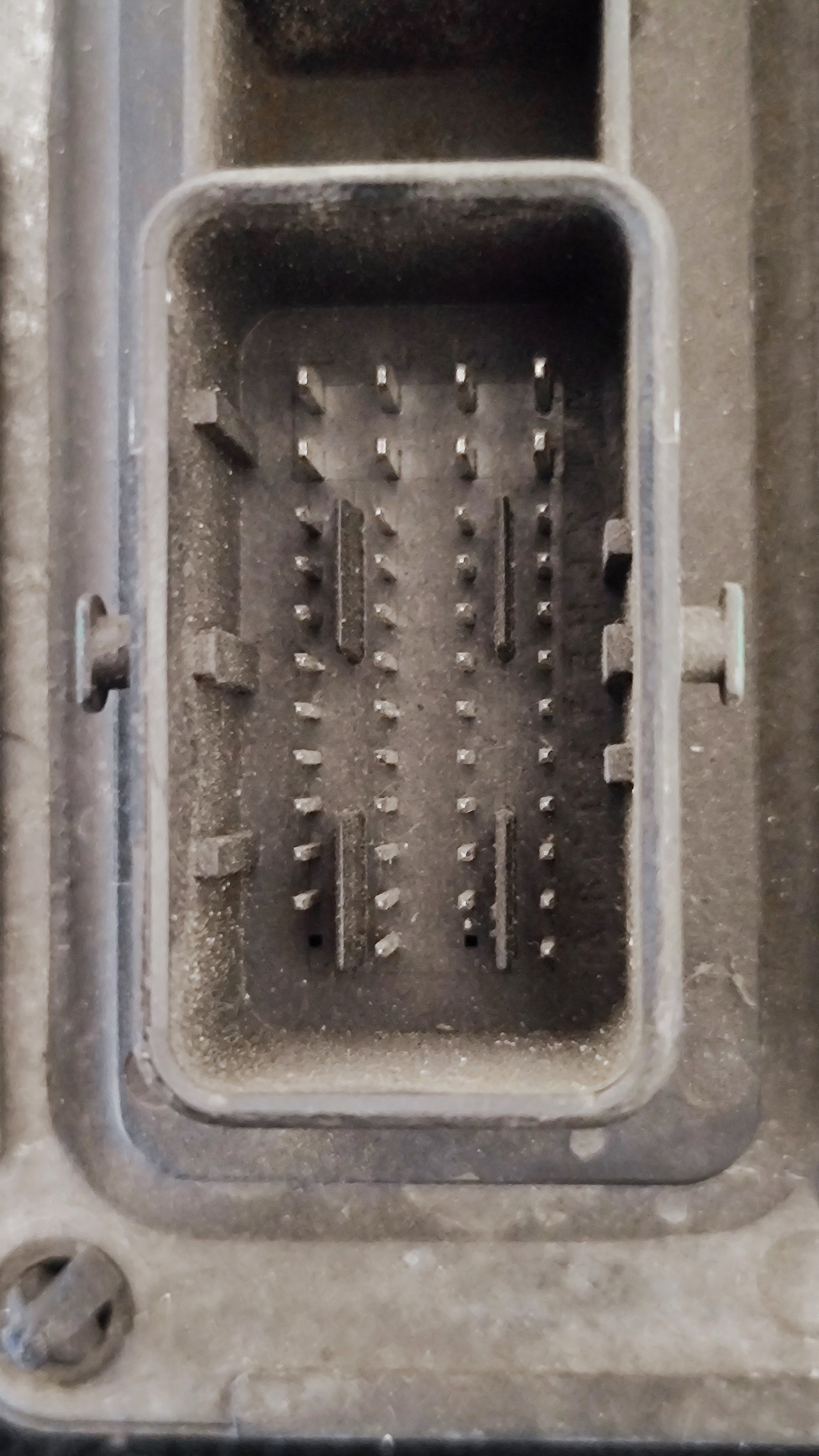 1736329010312.jpg