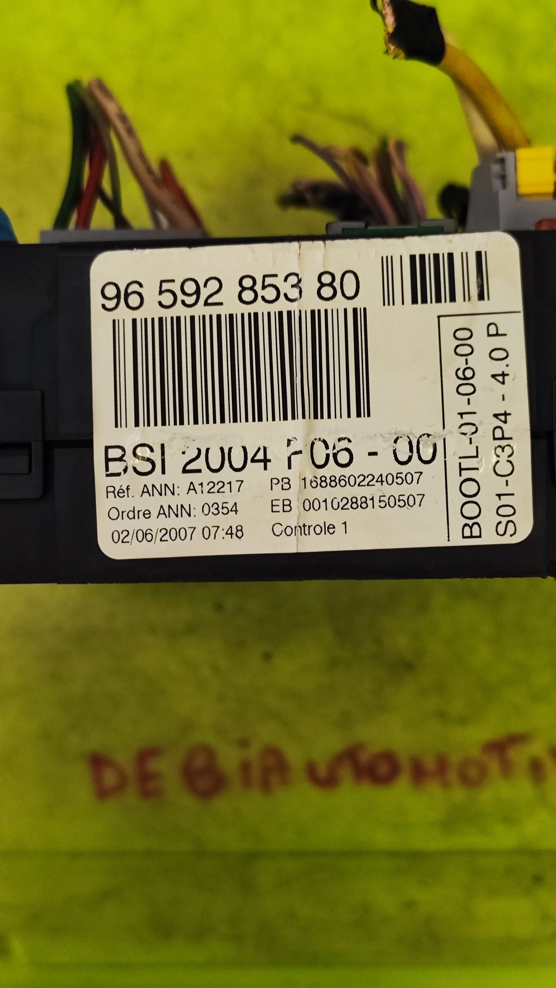 1758895868984.jpg