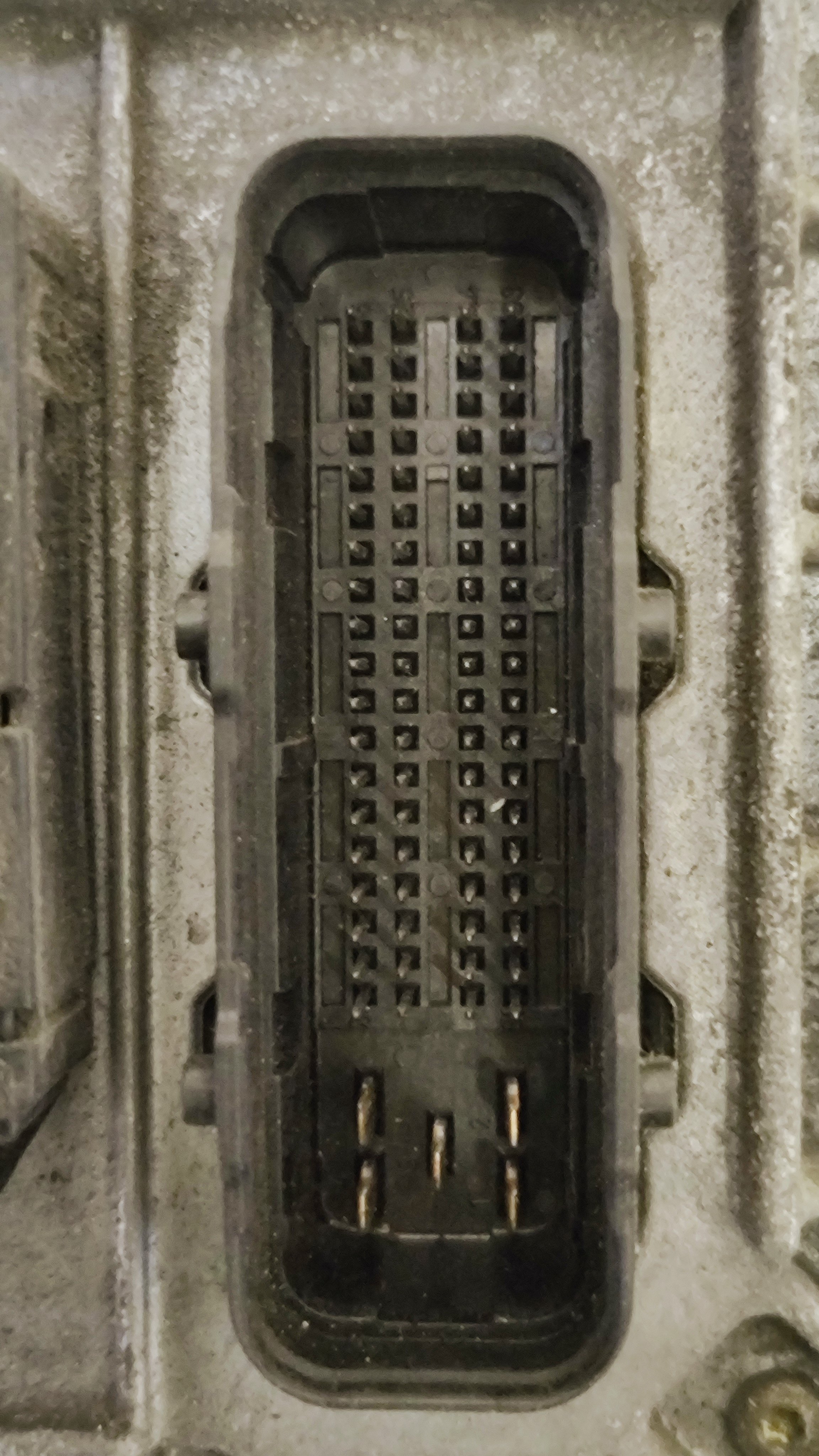 1737039722912.jpg