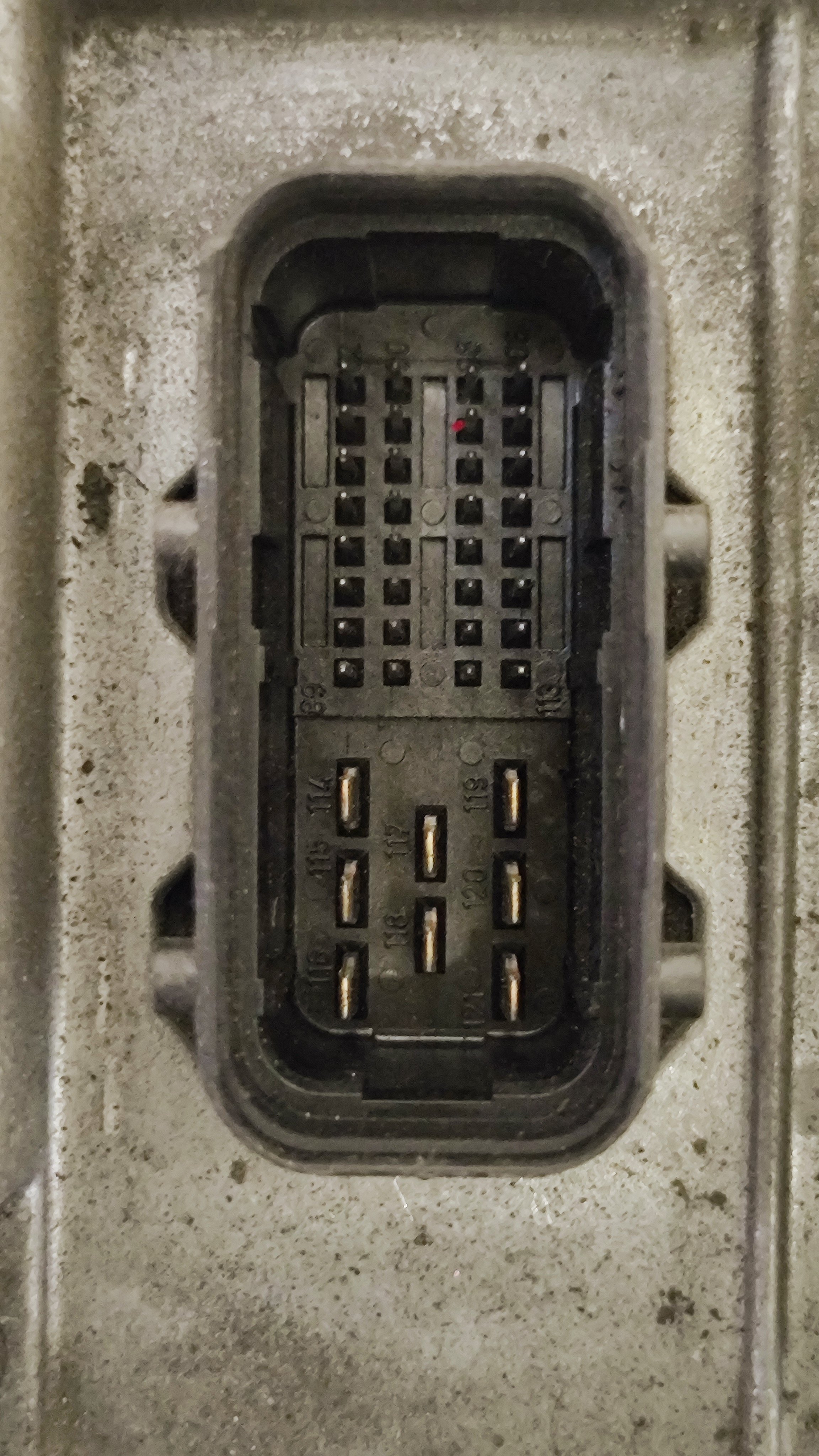 1737039722883.jpg