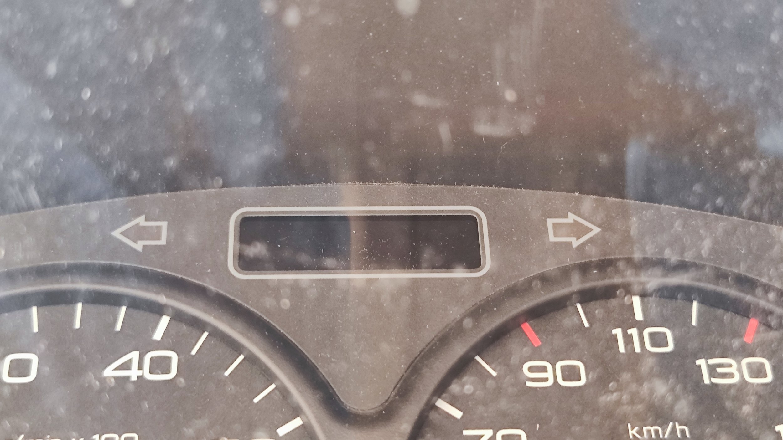1742373540865.jpg