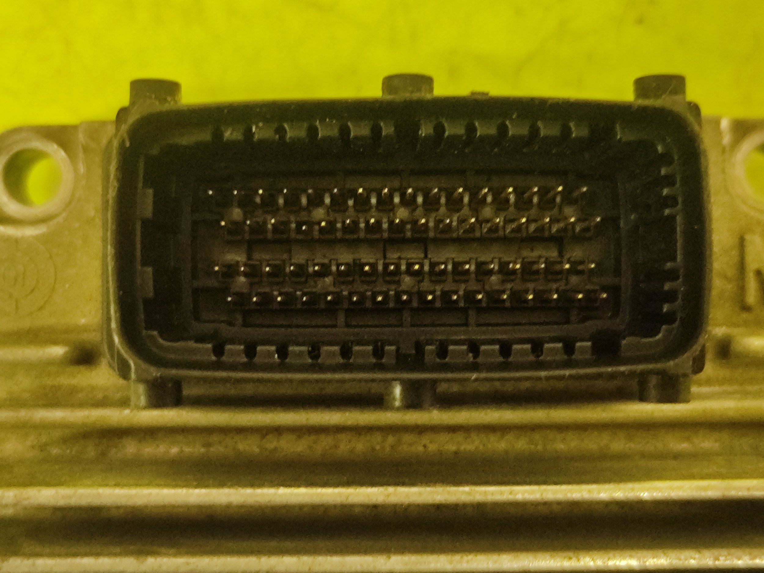 1733162581242.jpg