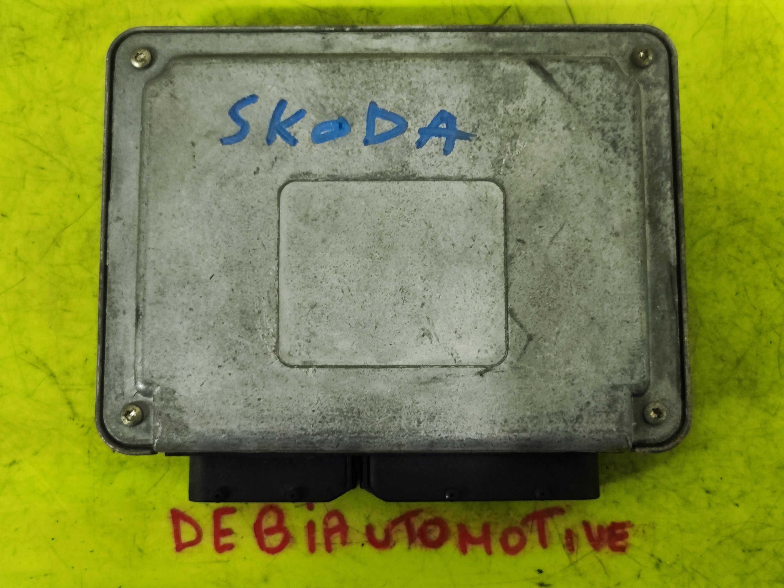 1733851346536.jpg