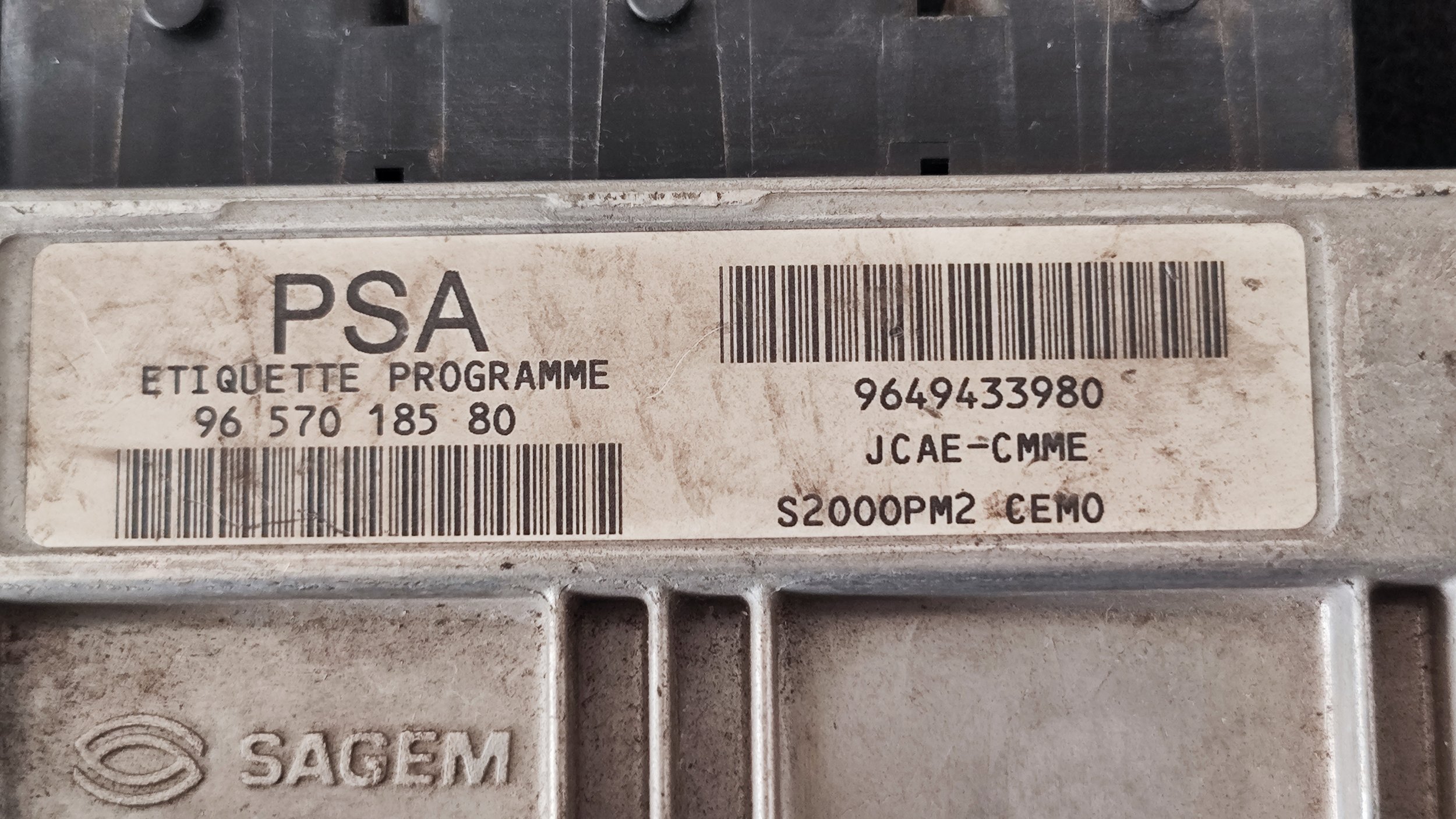 1734518830272.jpg