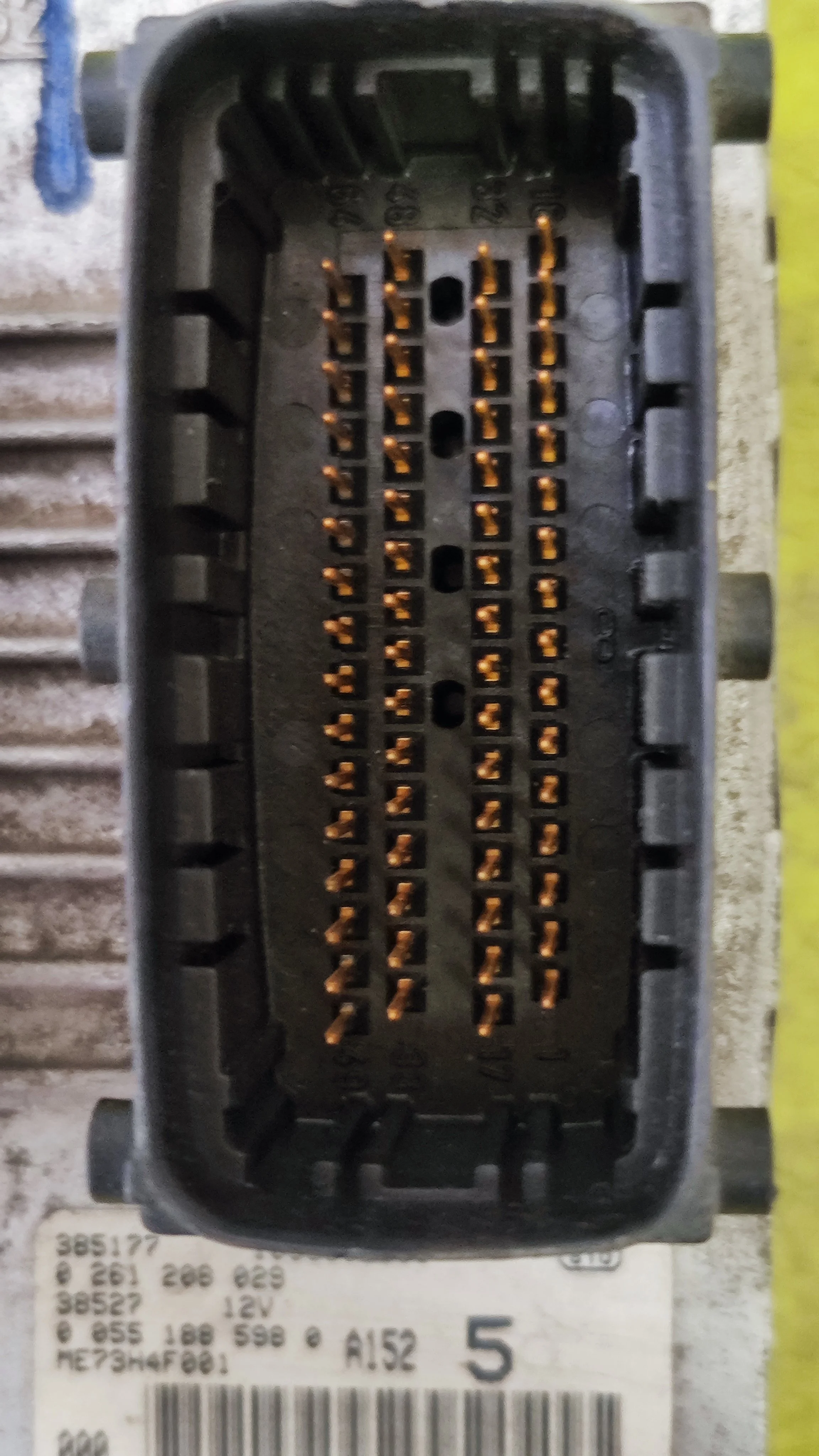 1758028850035.jpg