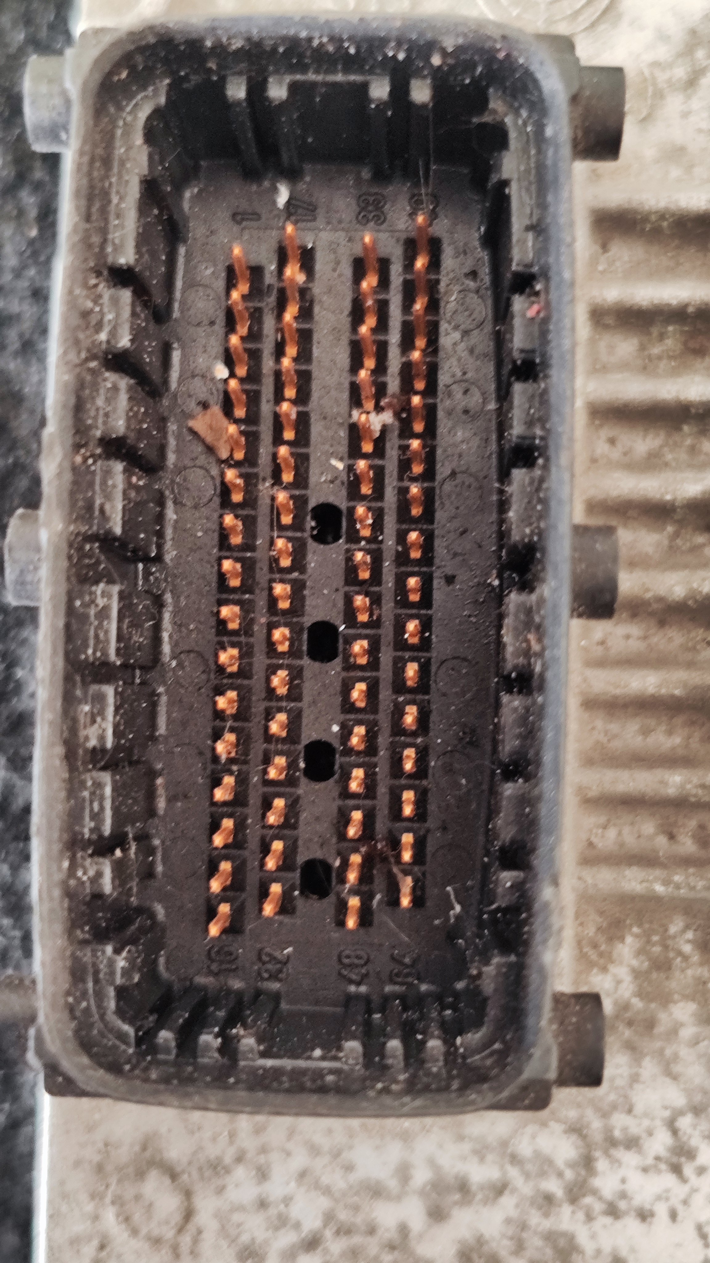 1738747704549.jpg