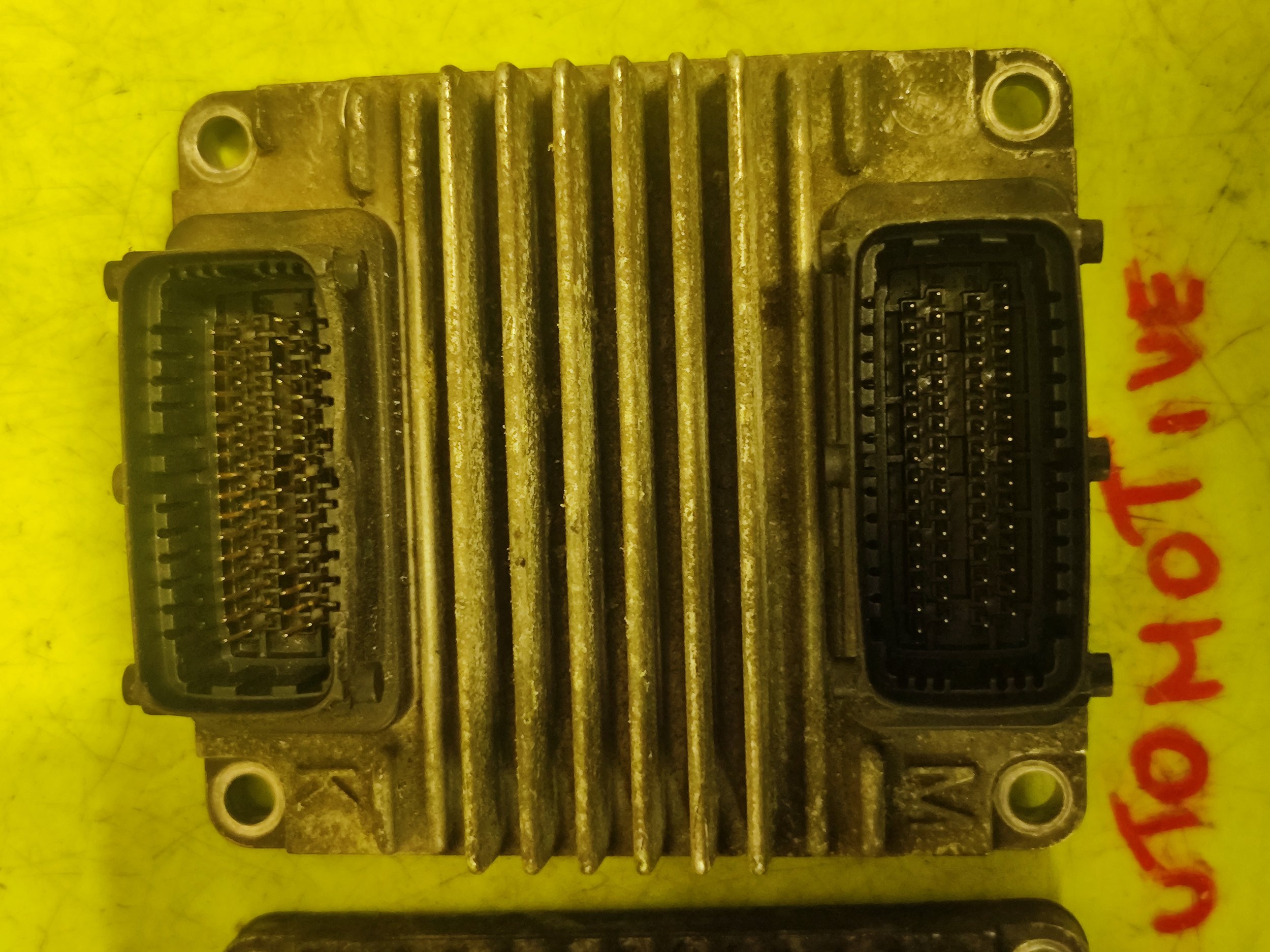 1733164174169.jpg