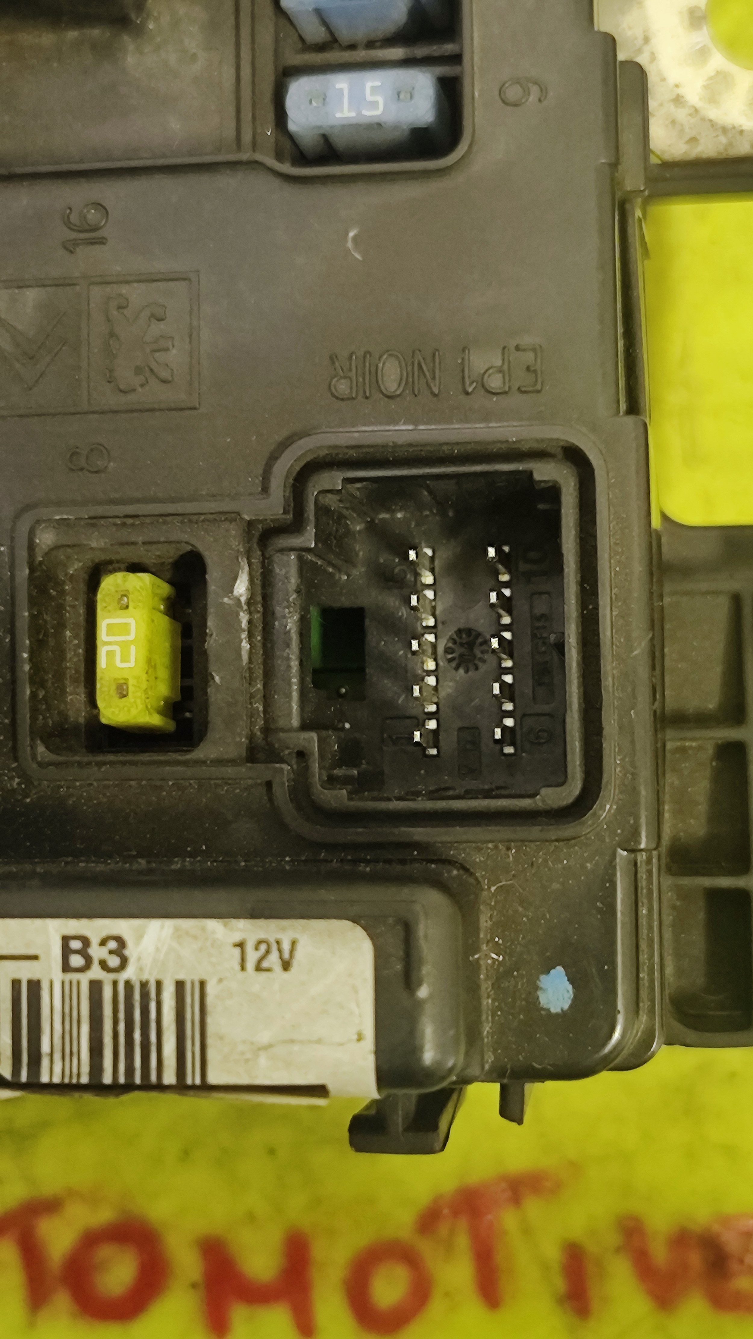 1737447575559.jpg