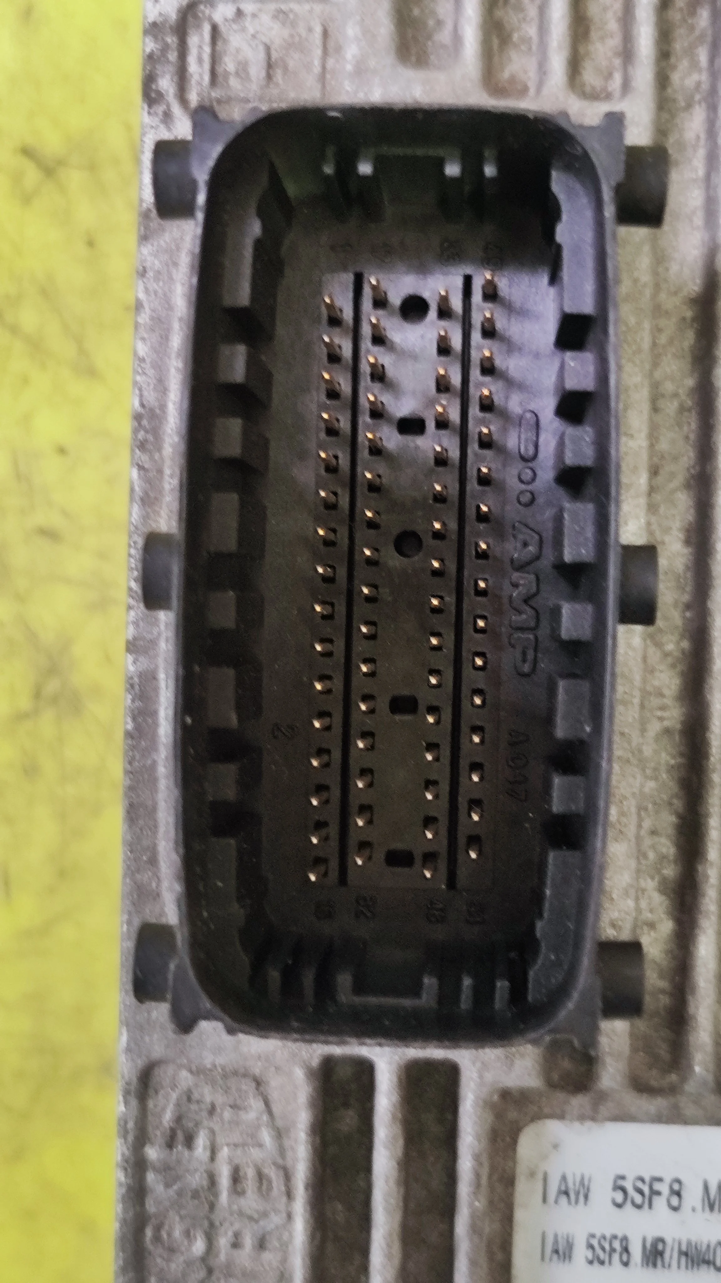 1757407613866.jpg