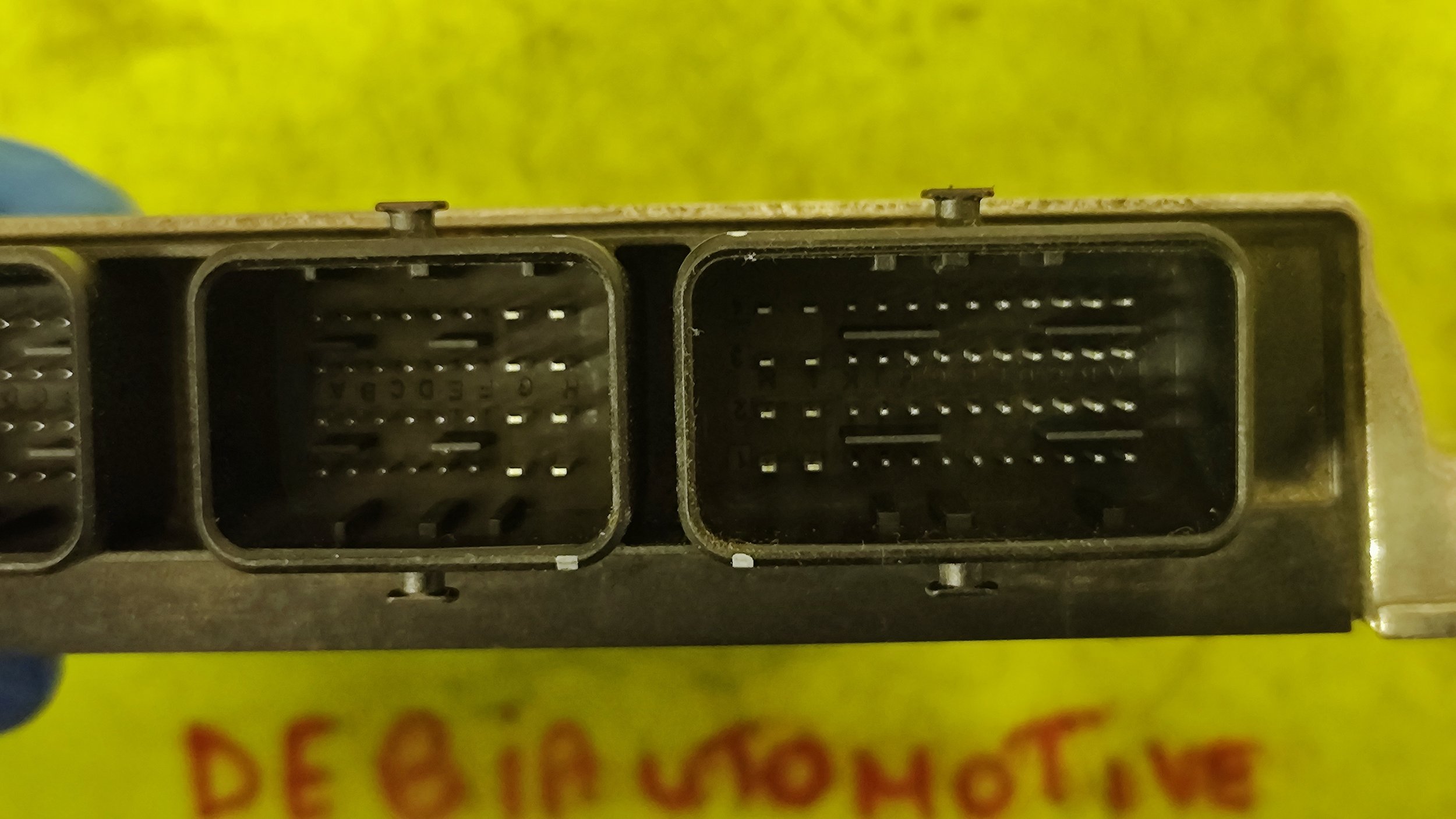 1740506163172.jpg