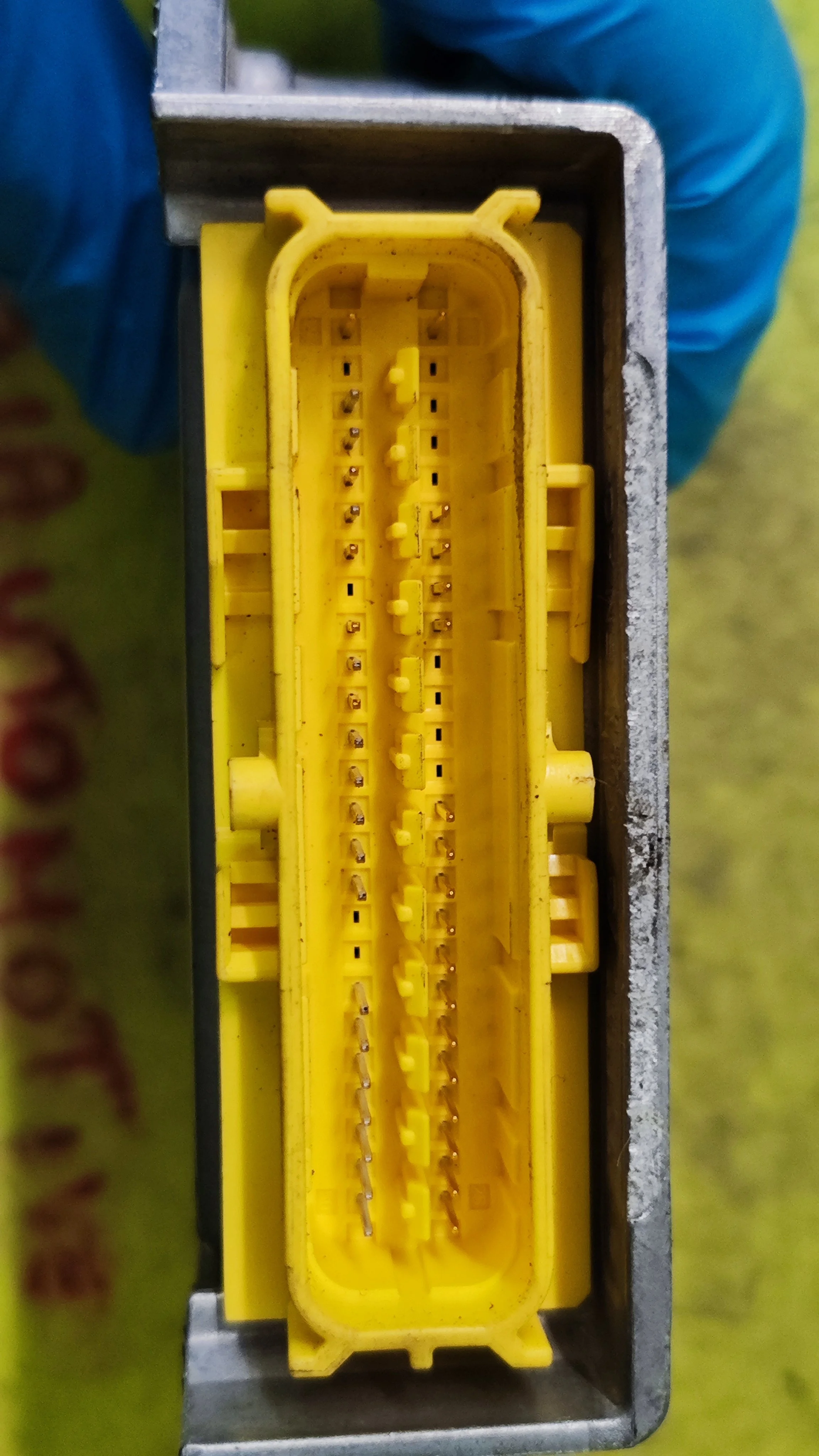 1757664509687.jpg