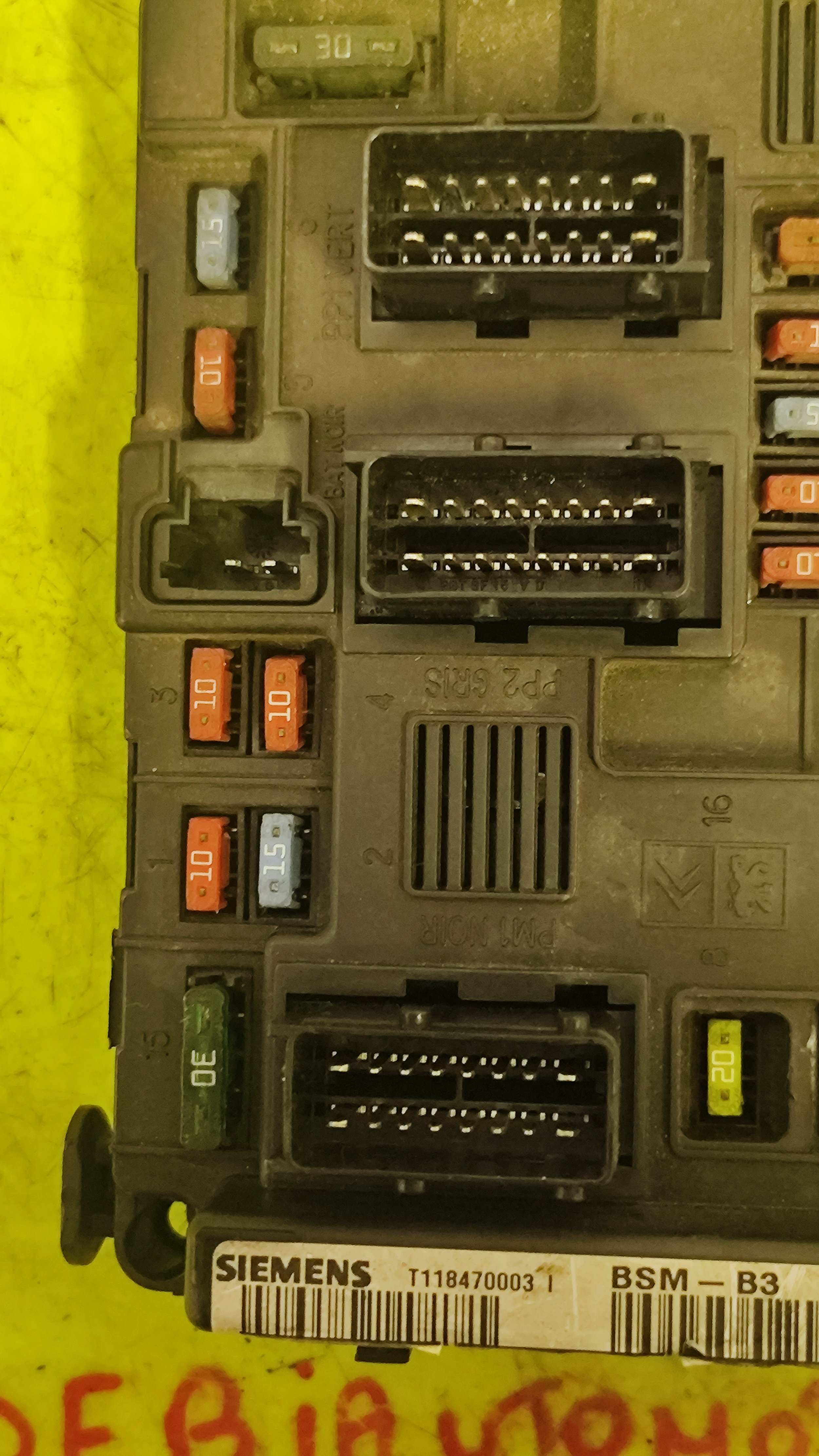 1737447575525.jpg