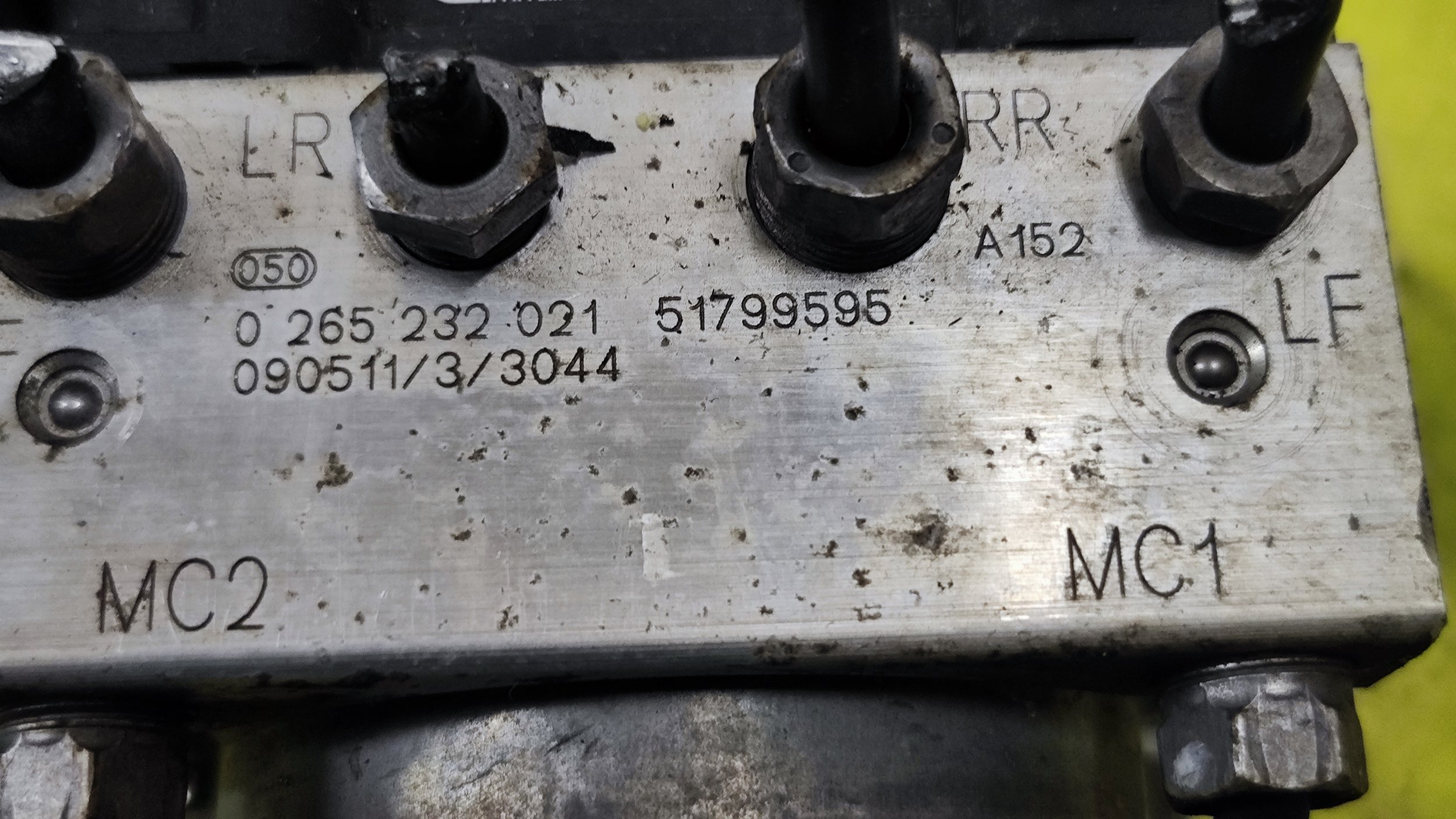 1737044993765.jpg