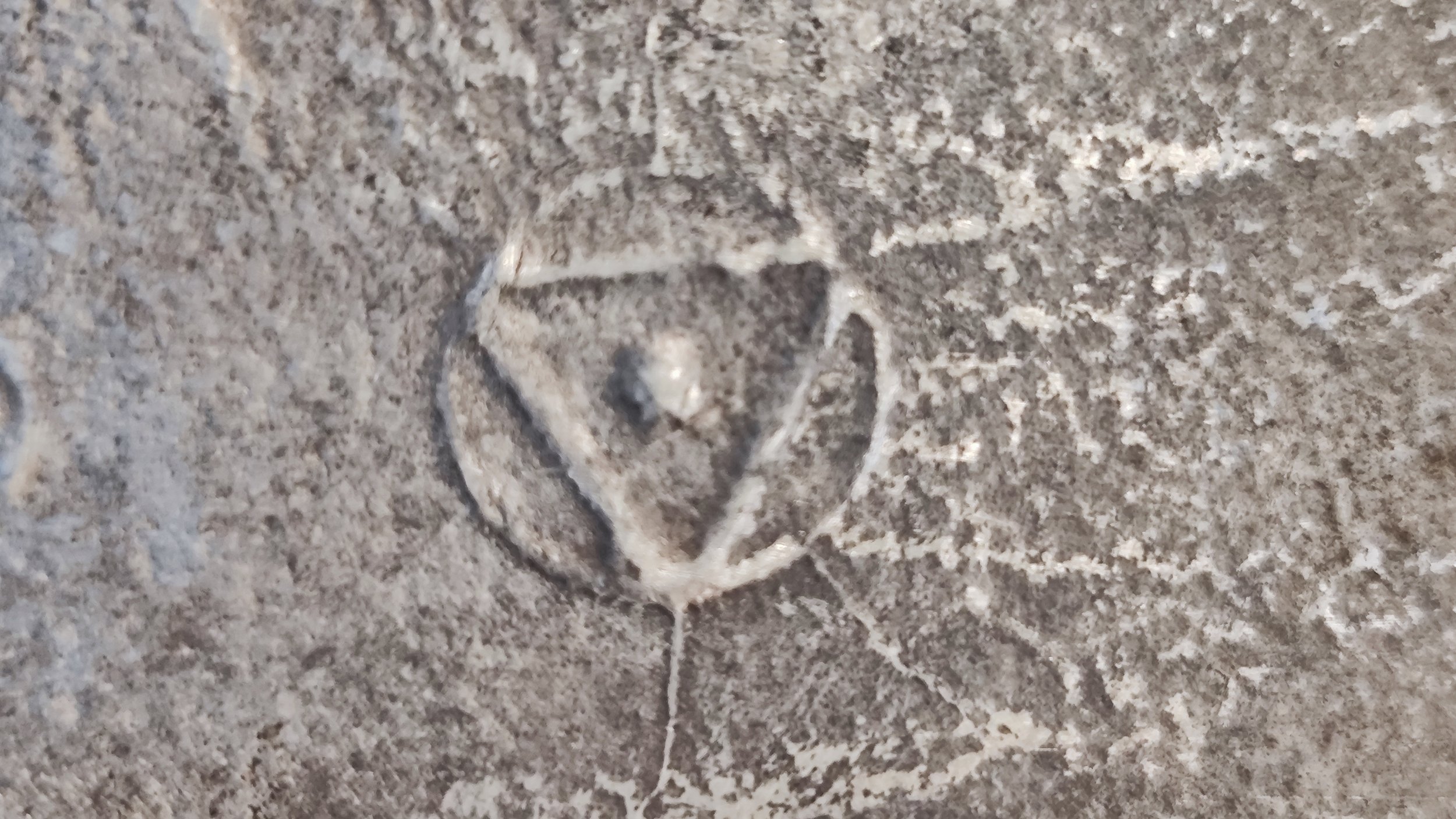 1747037351778.jpg