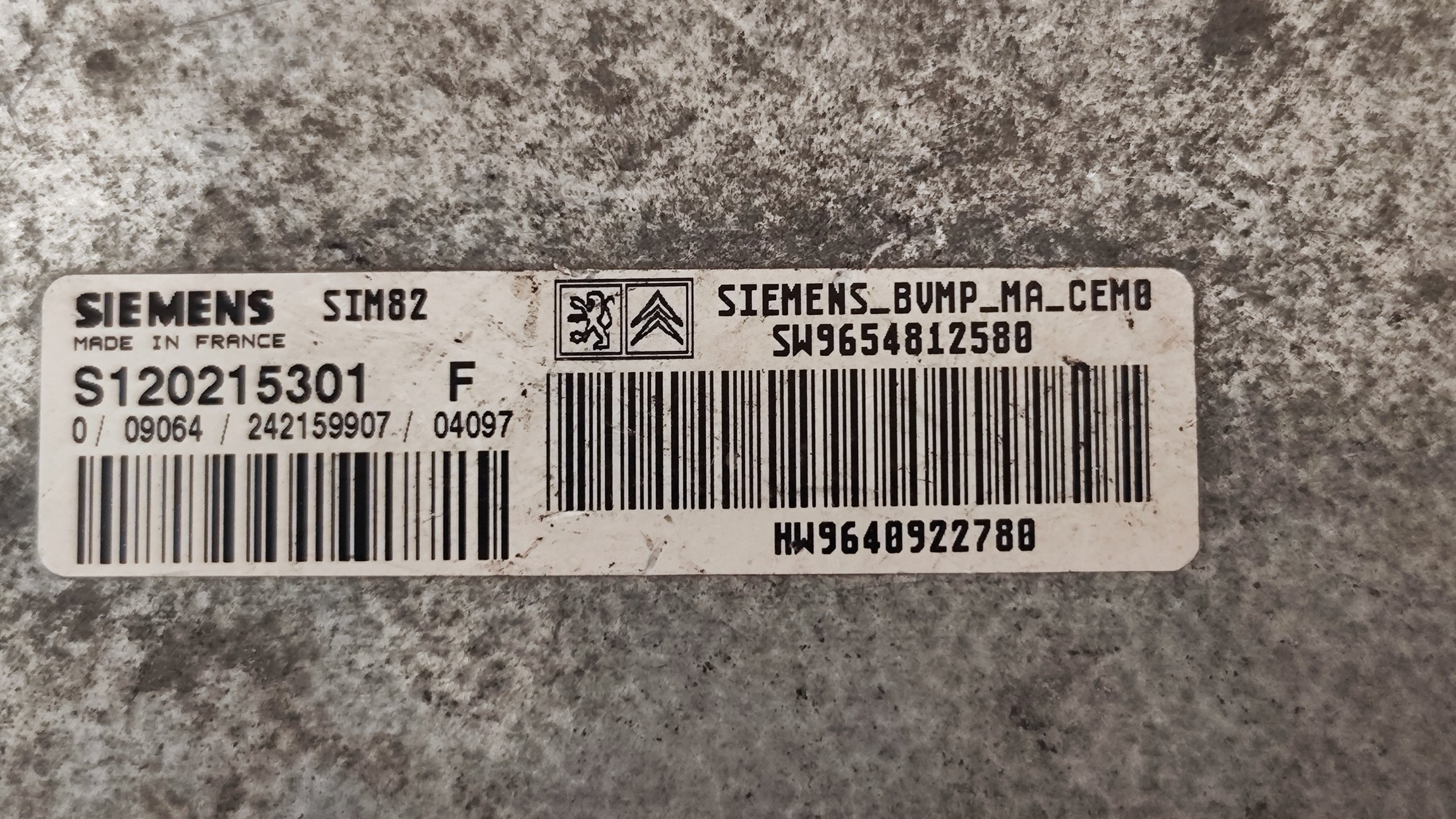 1736329010341.jpg