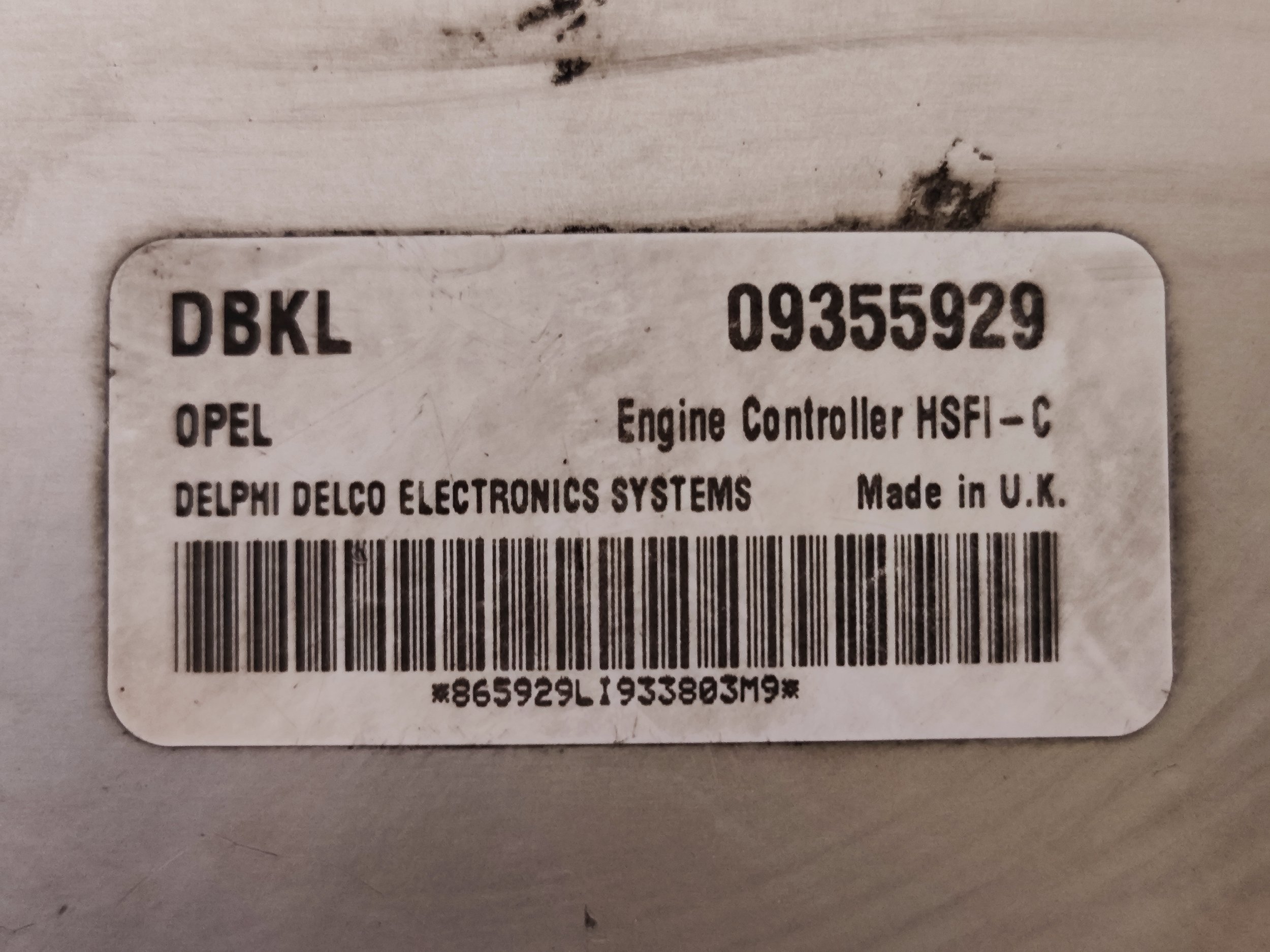 1729786031679.jpg