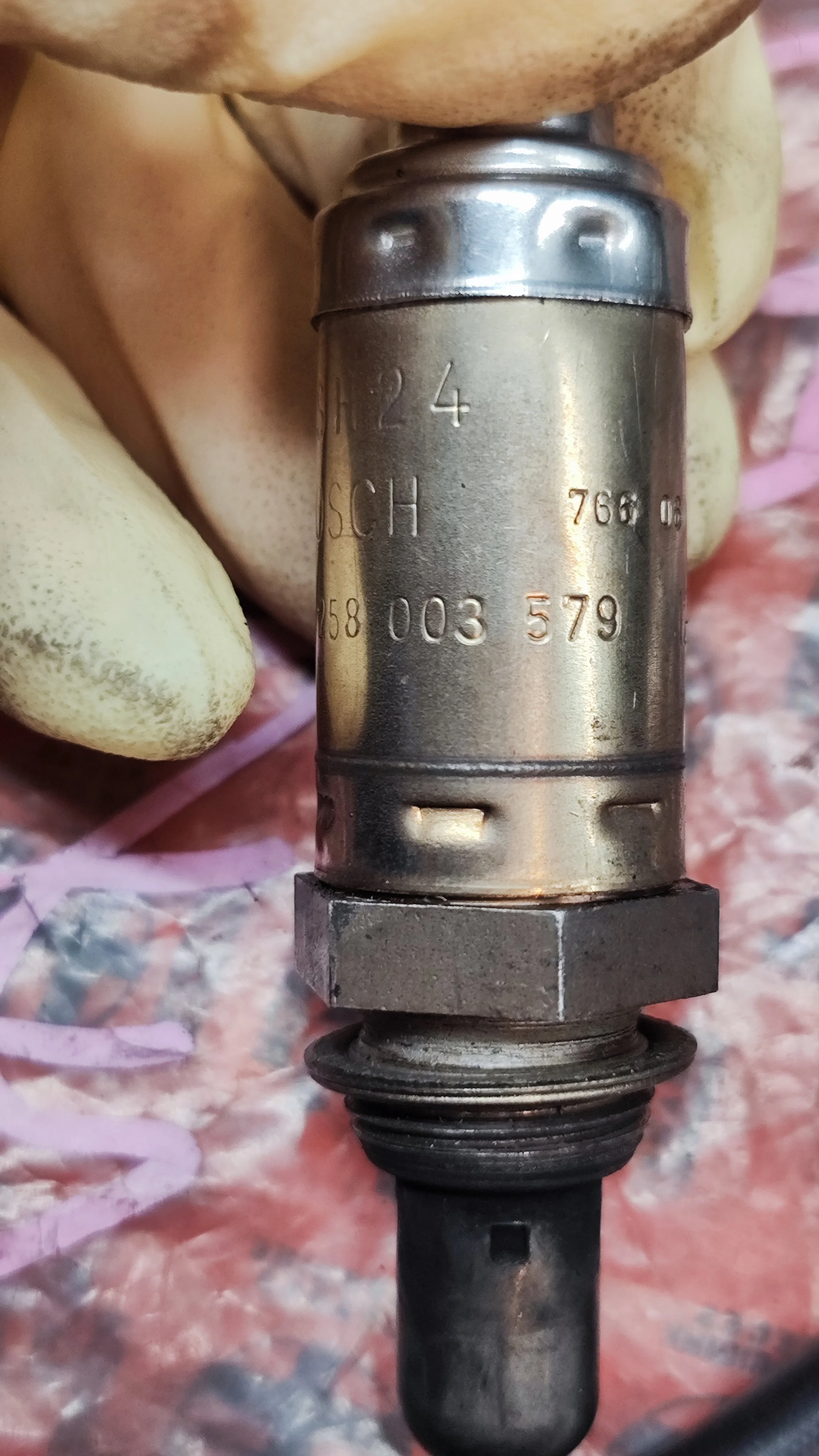 1759130771742.jpg