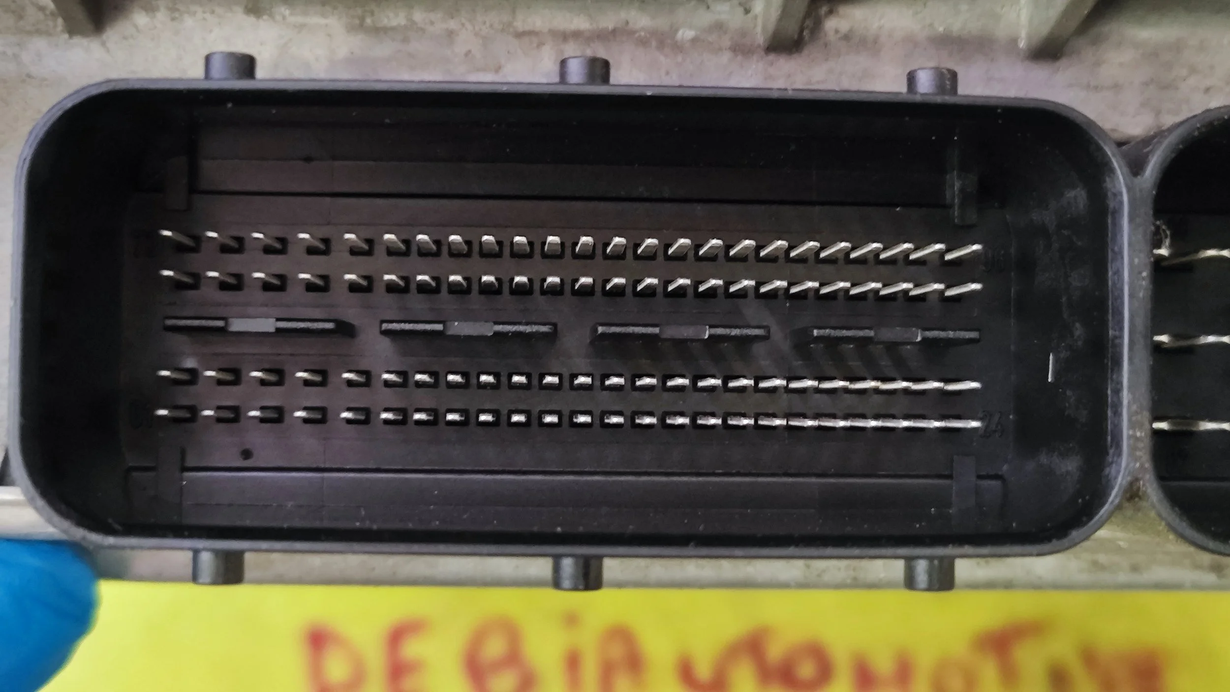 1757428390276.jpg