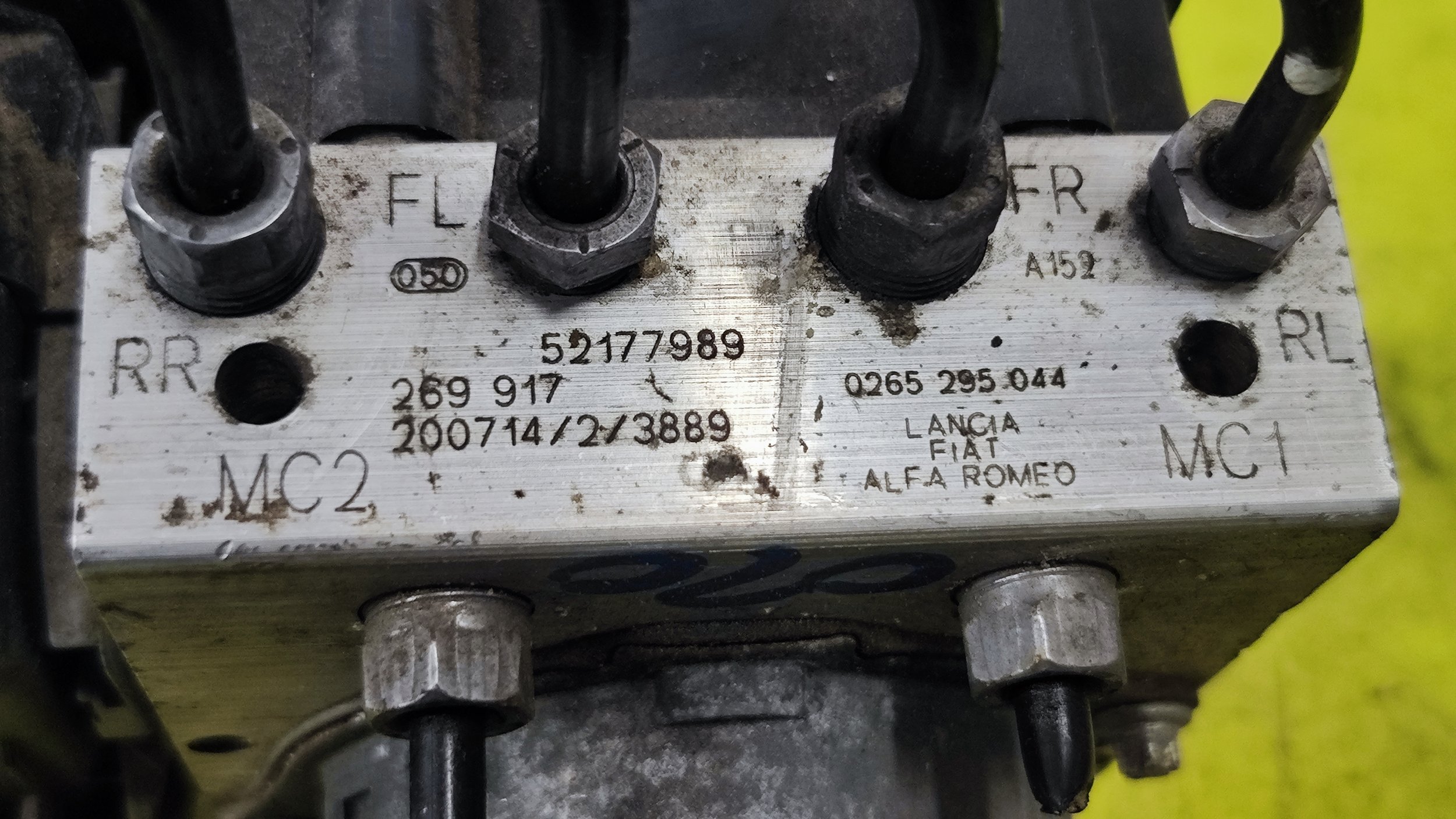 1737041069534.jpg