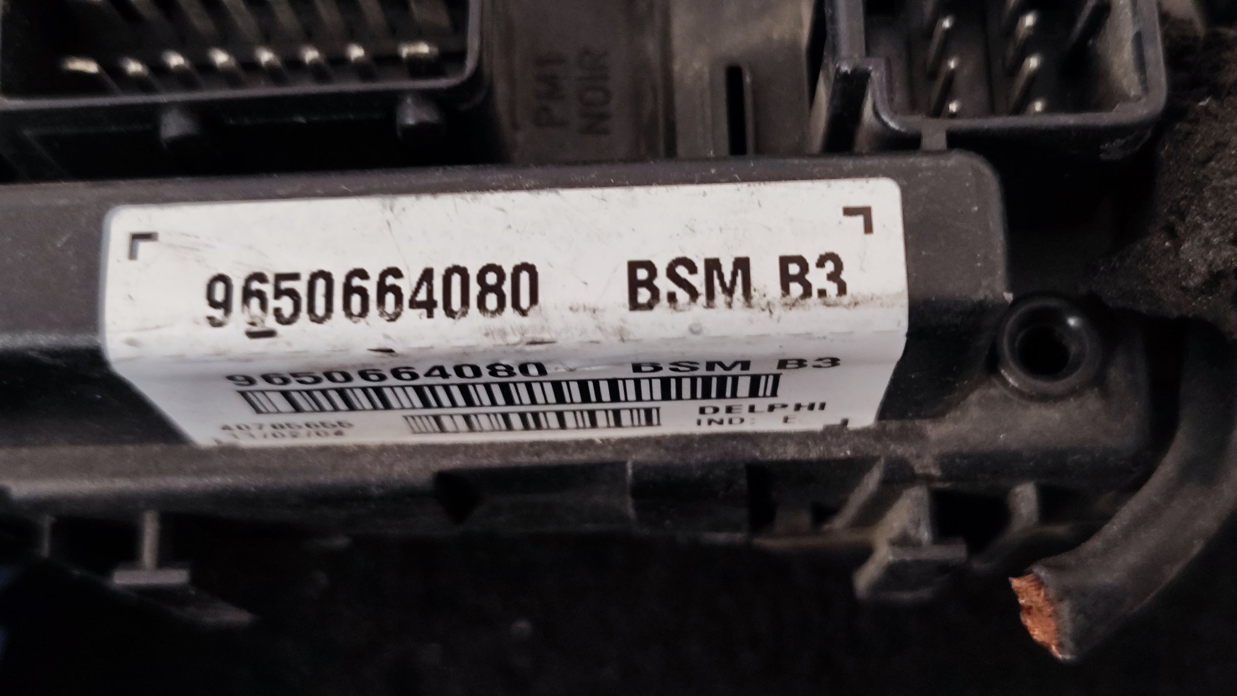 1739262892645.jpg