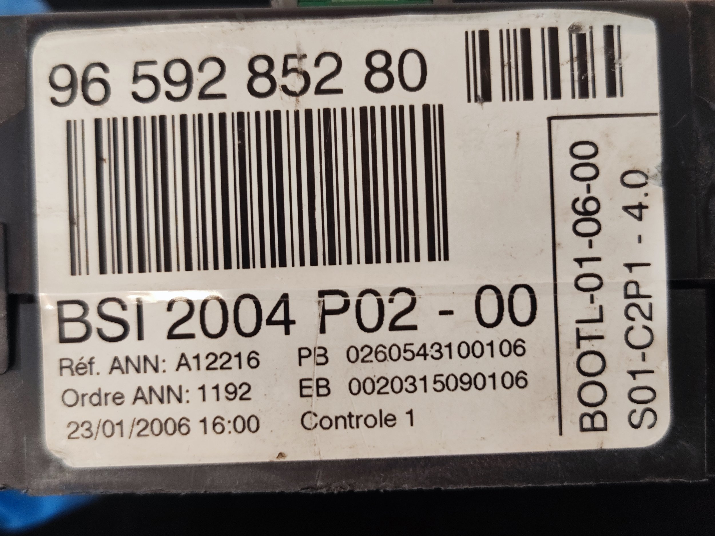 1732618362788.jpg