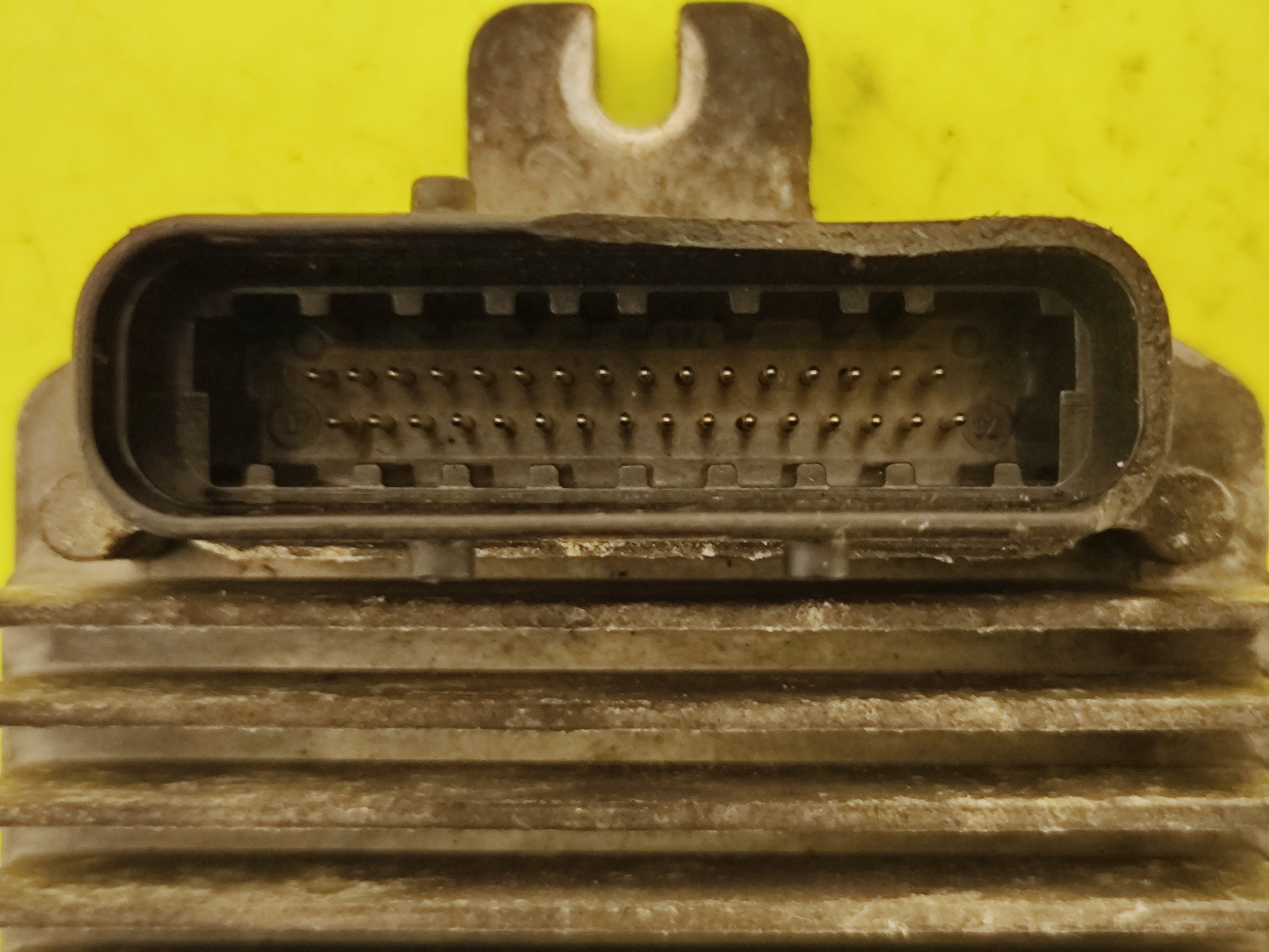 1729786031761.jpg