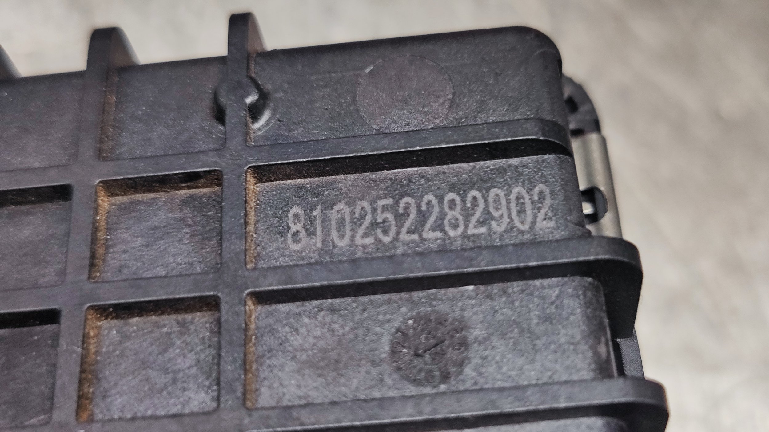 1734602042132.jpg