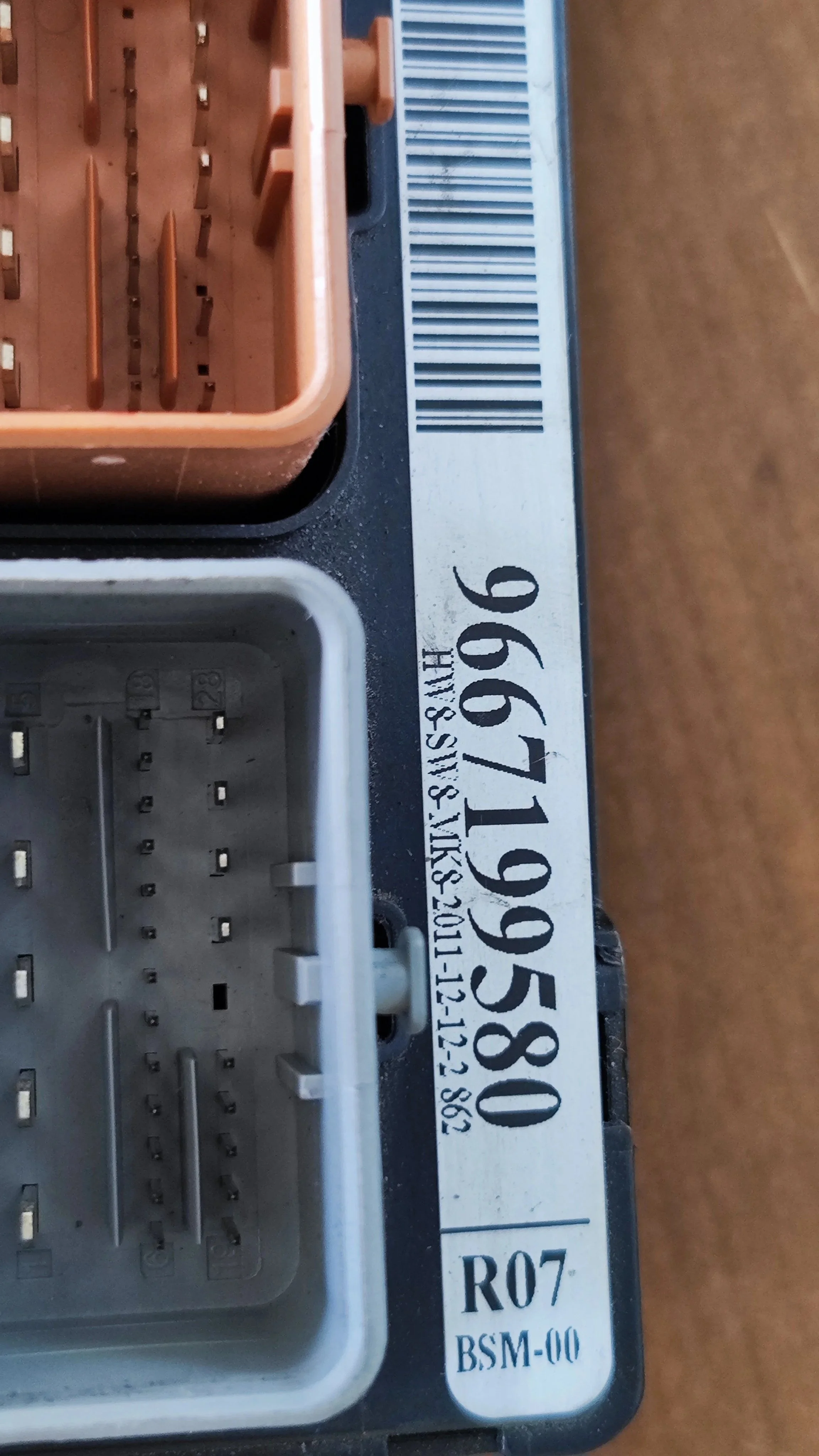1759221925563.jpg