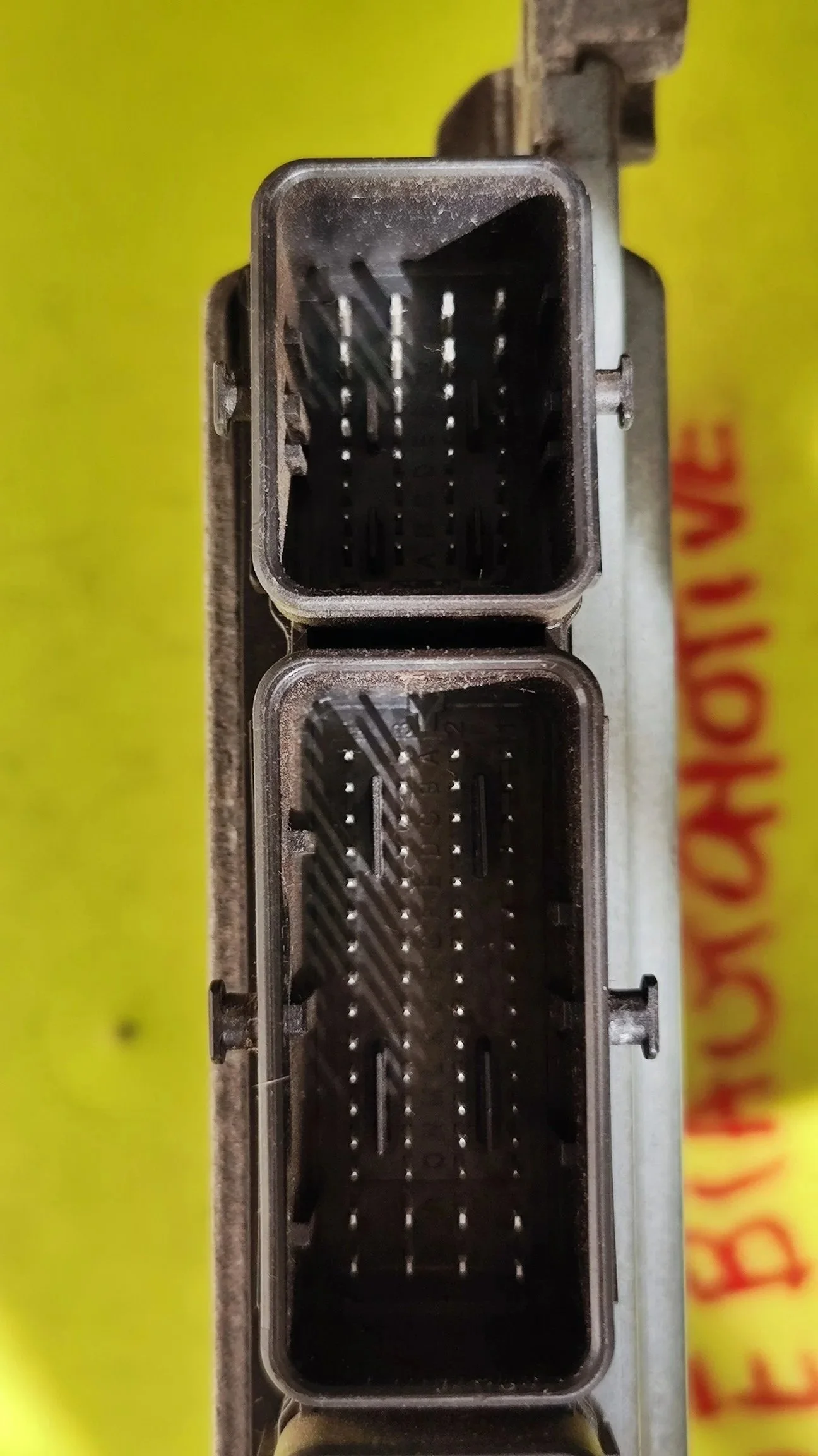 1756544155818.jpg
