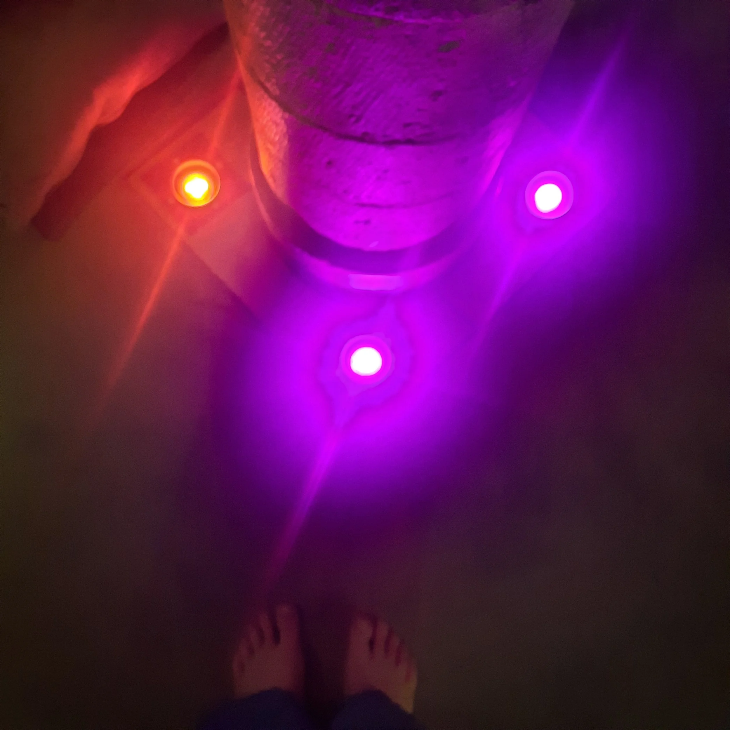 Your Desire Tempel Playfullness – Van binnen naar buiten in Koningsmolen